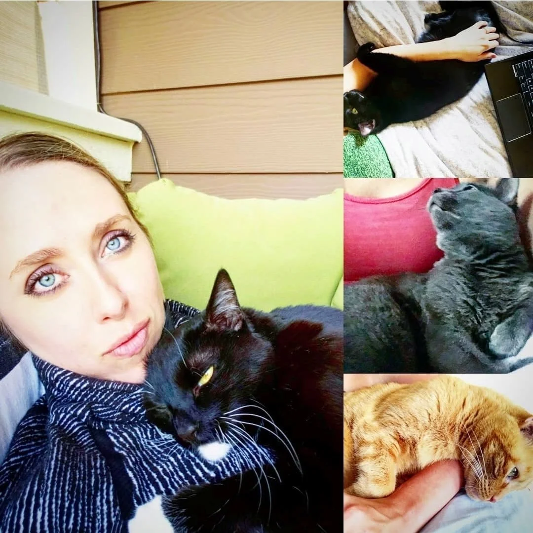 Dr. Easley and 3 cats