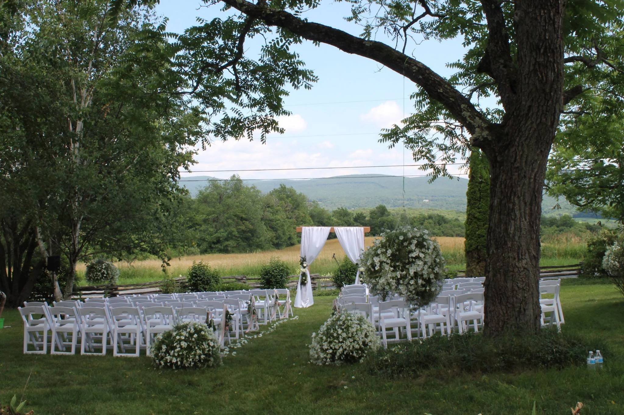 Wedding on the lawn.jpg