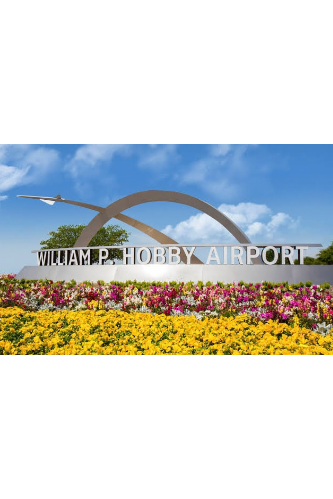 professional aircraft airplane detailing Hobby Airport Houston texas