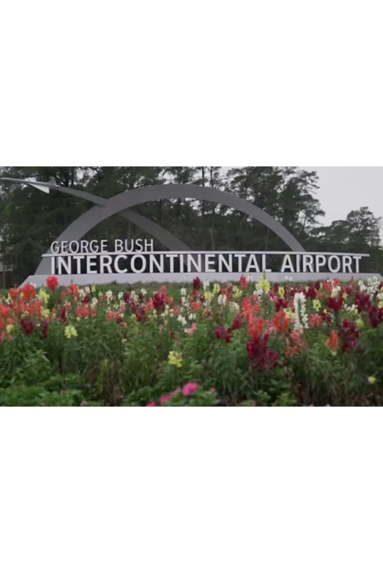 Professional Airplane Aircraft Detailing in Houston, TX - Bush airport