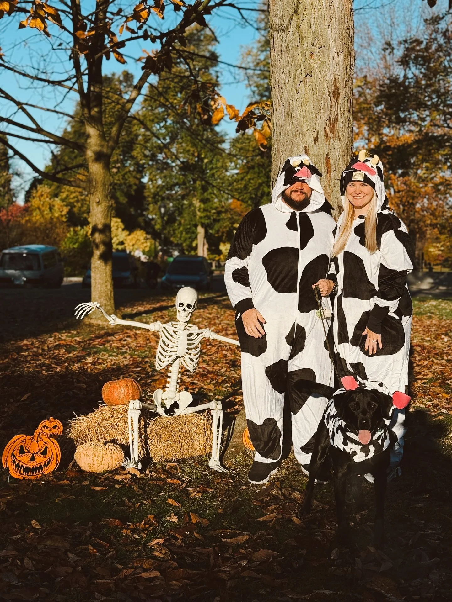 Halloween pack walk was a success!! Thank you to everyone who came. Be sure to go check out my story and vote for your favorite so they can win a prize!!!