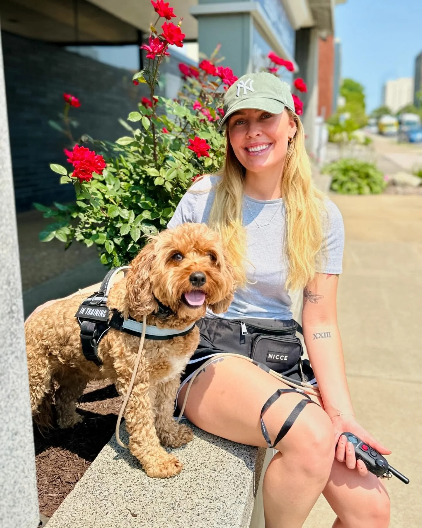 Winston wrapped up his 3 week program today! It has been so rewarding to watch him grow from a nervous little shadow into a more confident and independent dog. The adjustment back home will be some work for mom in order to help him settle into a new 