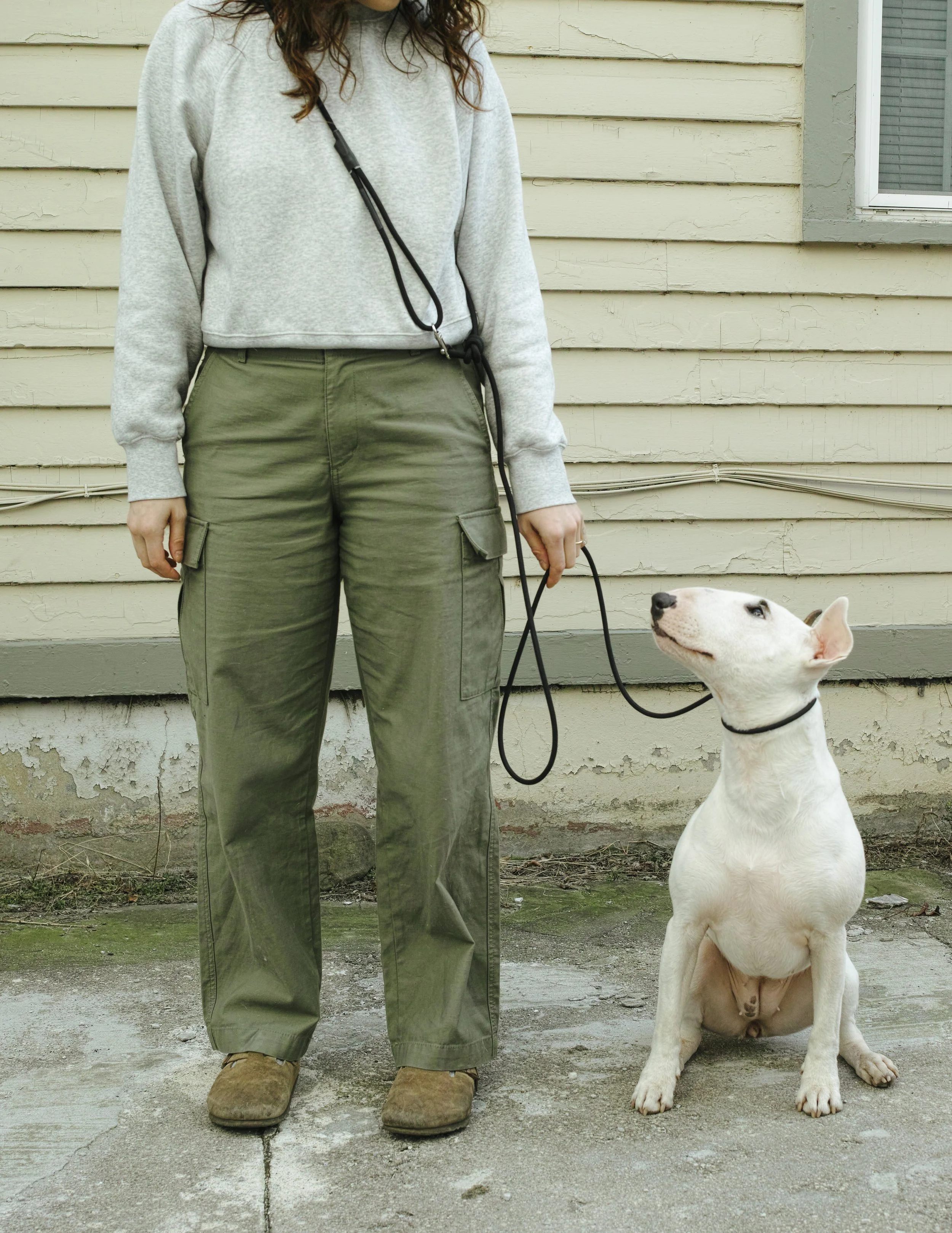Person standing on sidewalk holding a dog leash with a white Bull Terrier puppy sitting beside them in front of a beige house