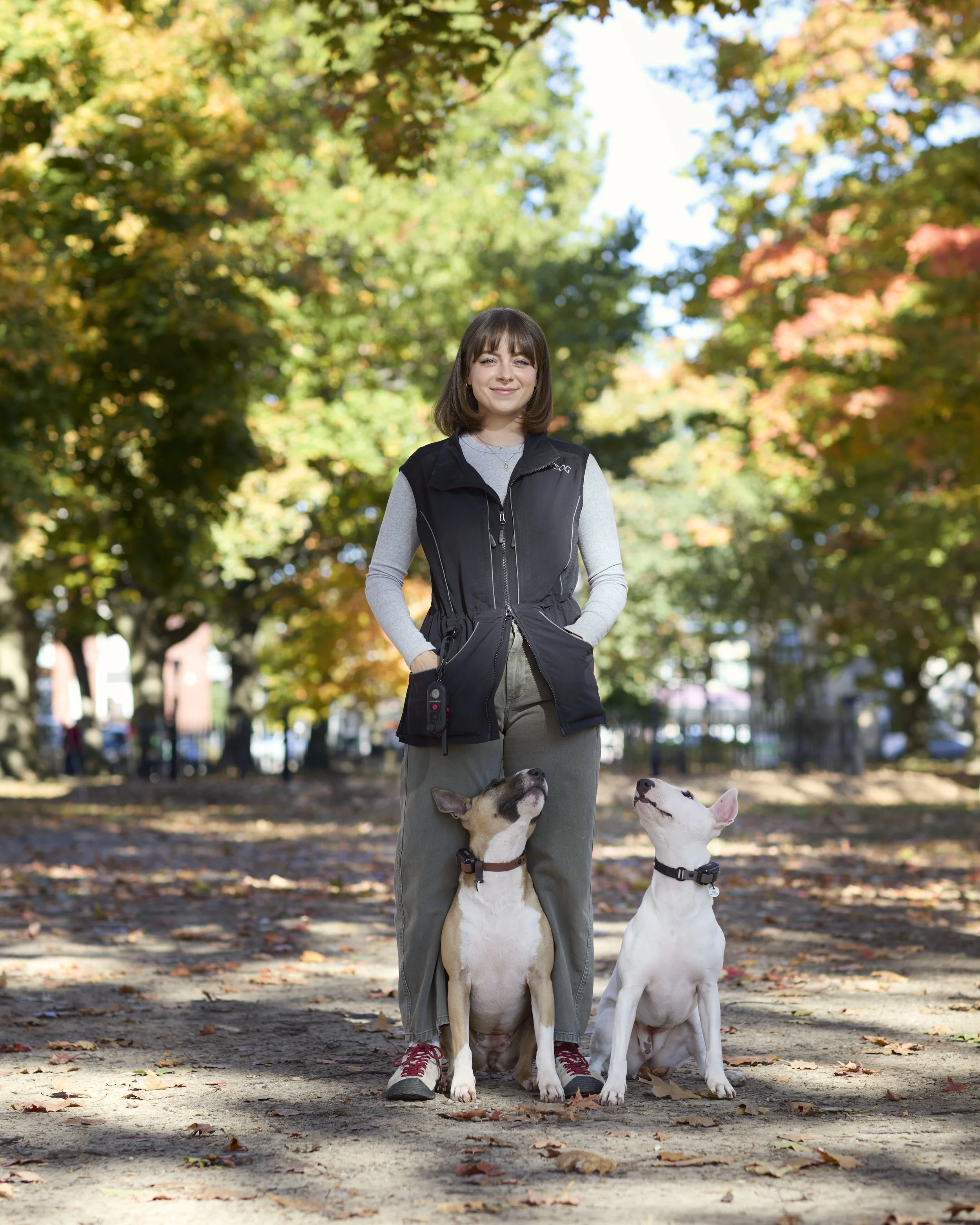 A woman walking in a park with two dogs on a fall day, surrounded by colorful trees.