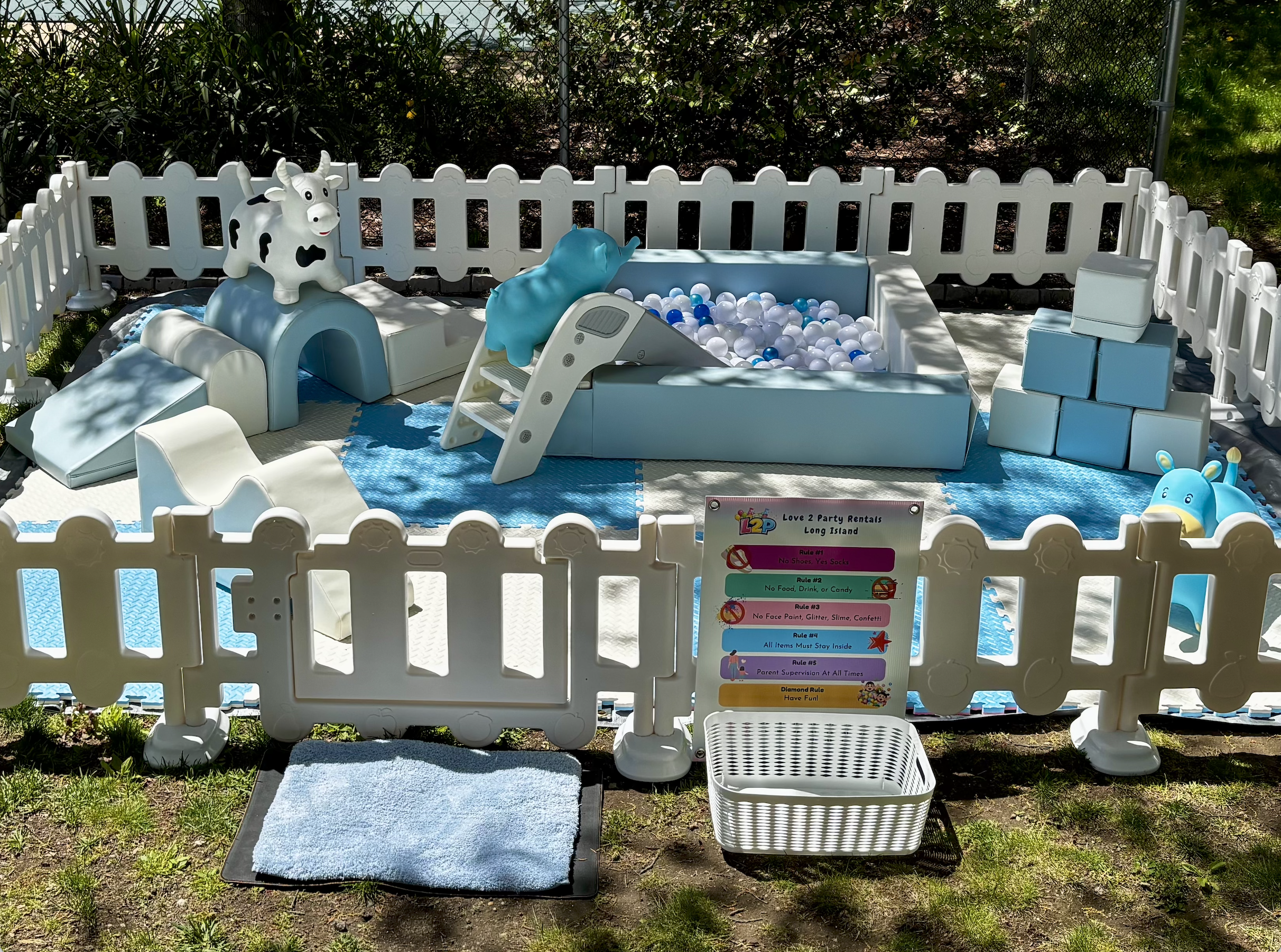 Deluxe Fun Blue