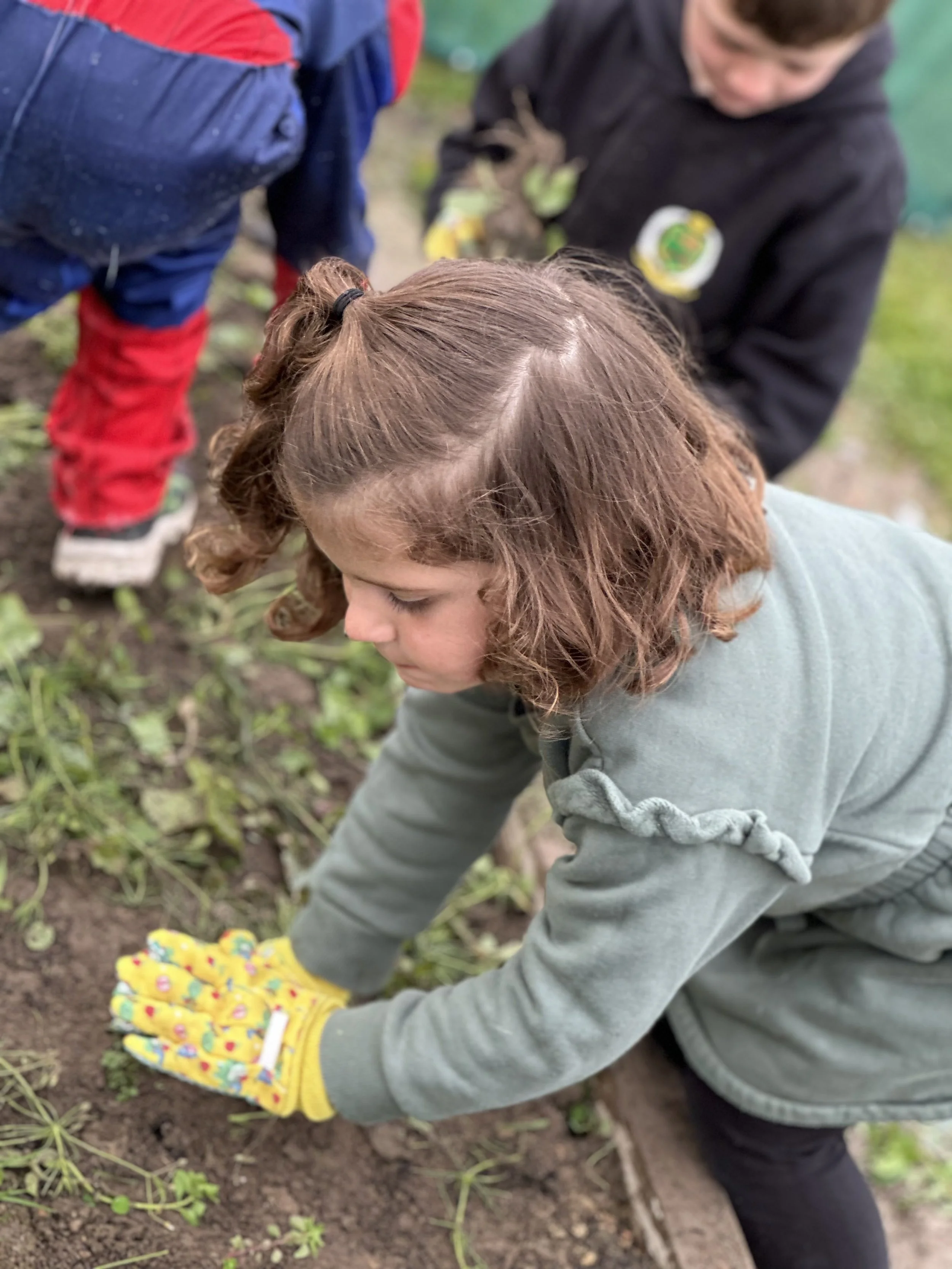 Children planting flowers in the soil, wearing gardening gloves and casual clothes in an outdoor setting.