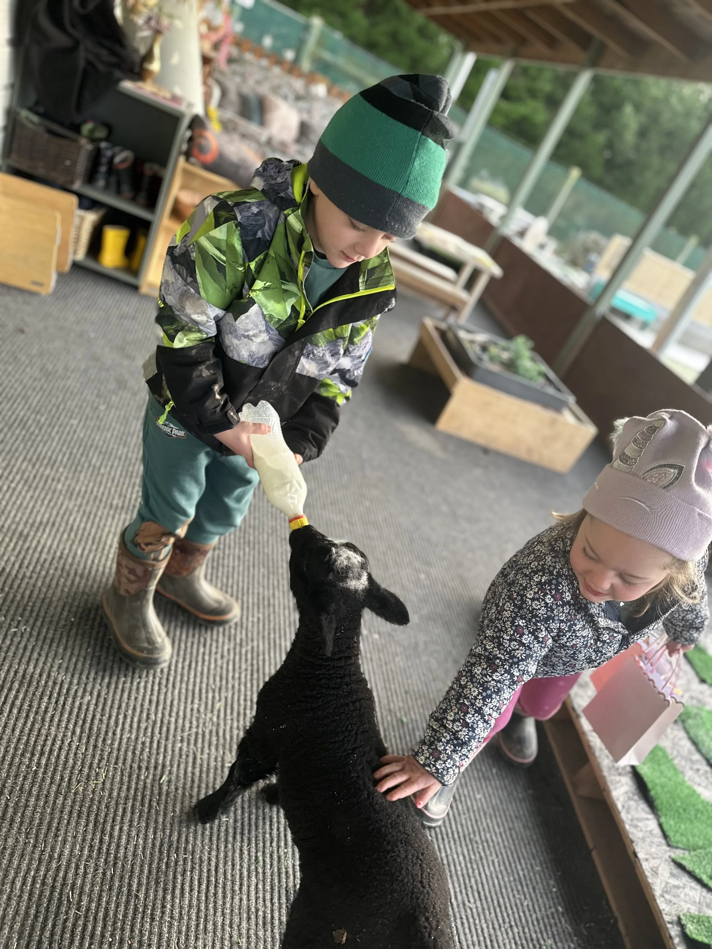 Two children, a boy and a girl, feeding a black sheep with a bottle in a barn-like setting. The boy wears a green and black striped beanie, a camouflage jacket, and teal pants. The girl wears a pink beanie with a pattern and a floral jacket.
