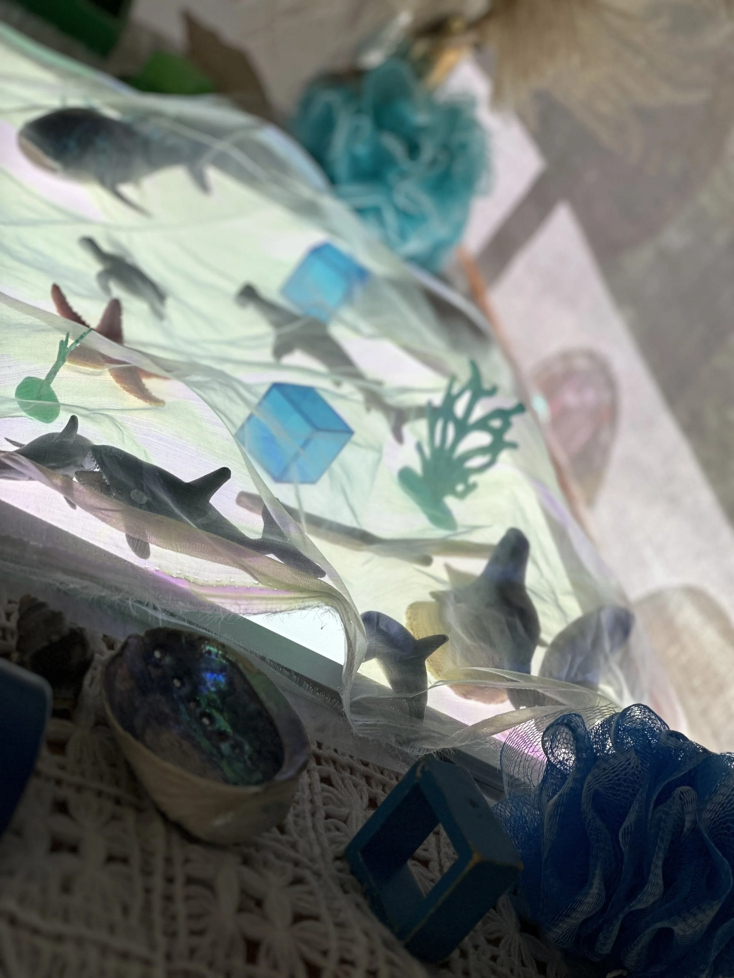 A collection of seashells, fishing lures, and fishing net on a crocheted surface near a window with sunlight.
