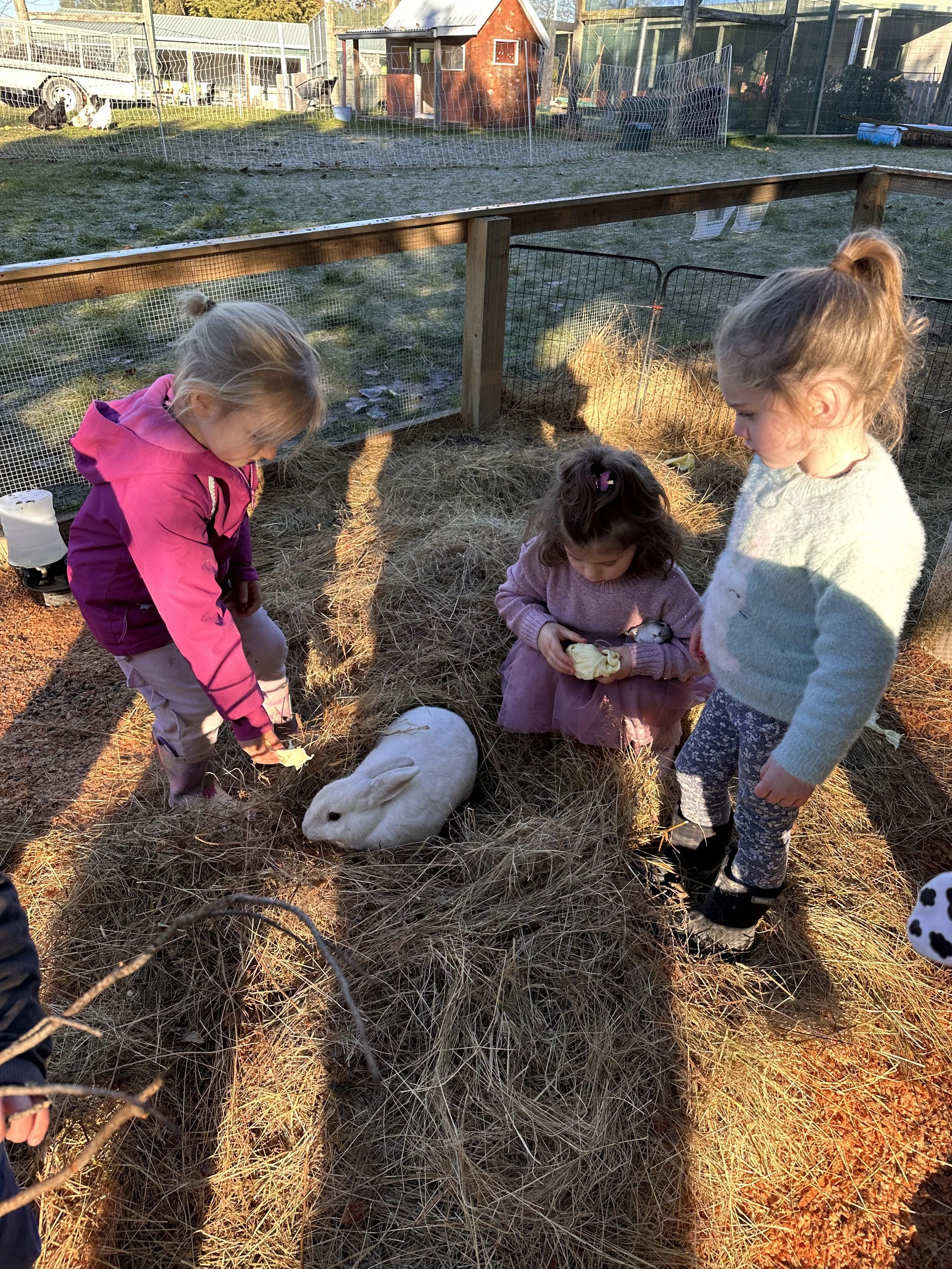 Playing with rabbit at Country Wonders childcare centre in Loburn, North Canterbury
