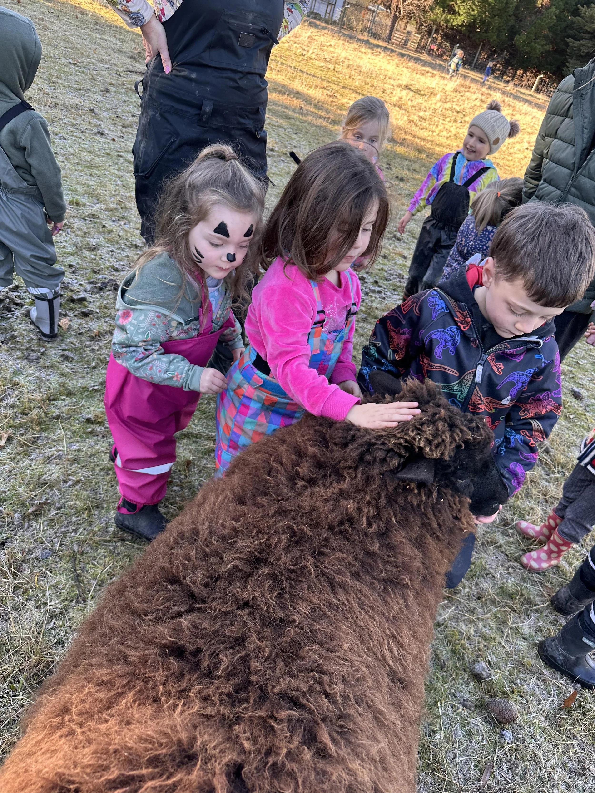 Children and adults gathered outdoors, petting a large, fluffy brown animal, possibly a pig, in a grassy area during daytime at Country Wonders childcare centre in Loburn, North Canterbury