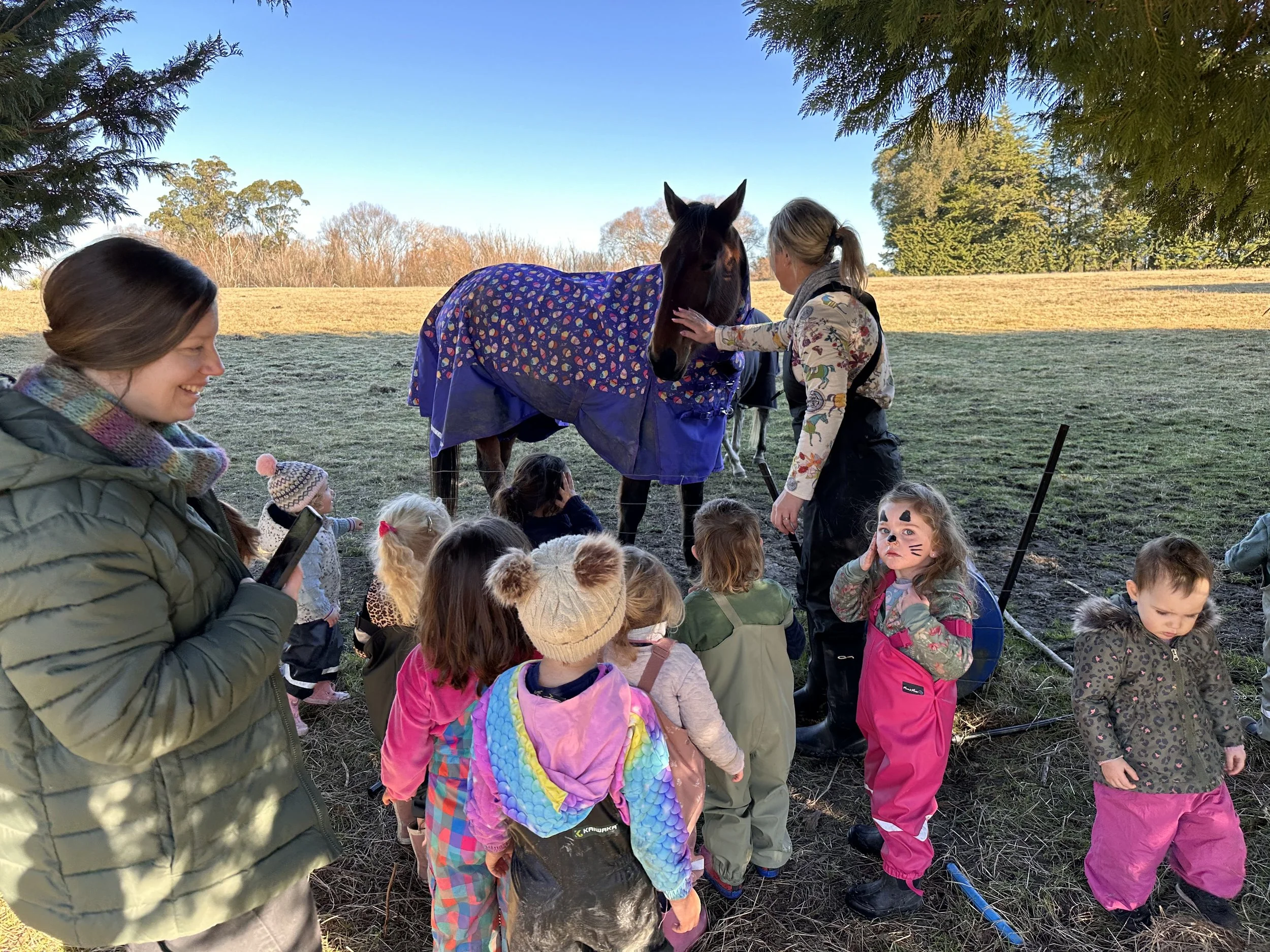Children patting a horse in a paddock at Country Wonders childcare centre in Loburn, North Canterbury