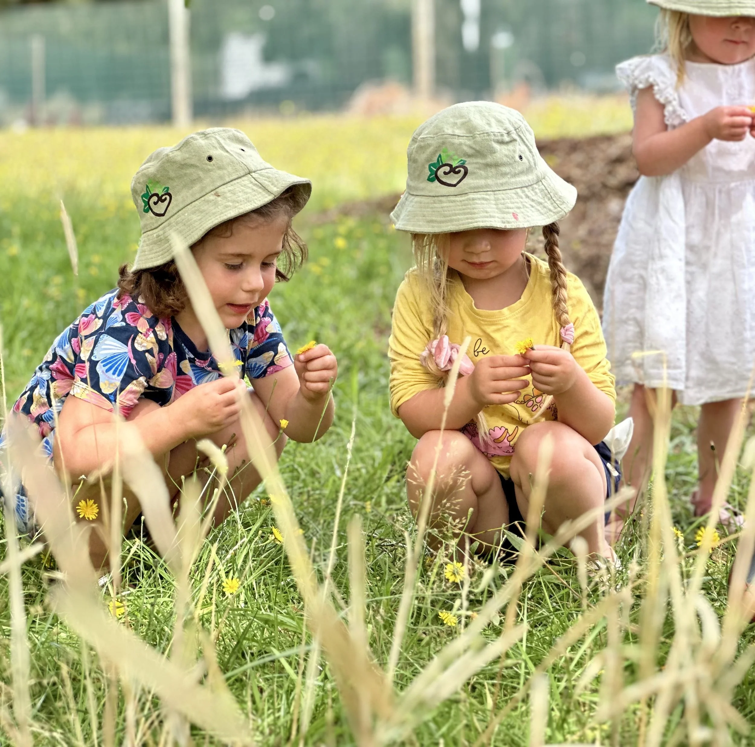 Preschool children playing in nature at Country Wonders in Loburn