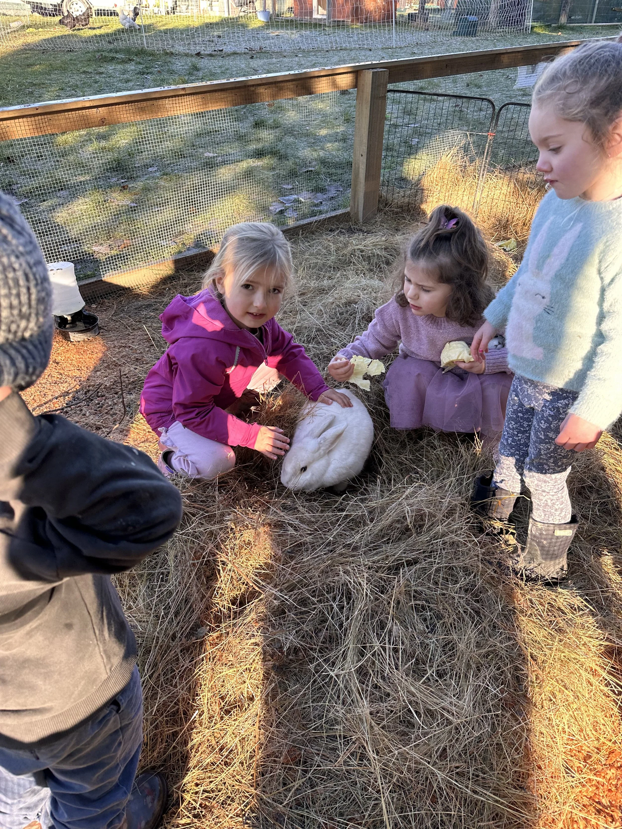 Outdoor play at Country Wonders childcare centre in Loburn, North Canterbury