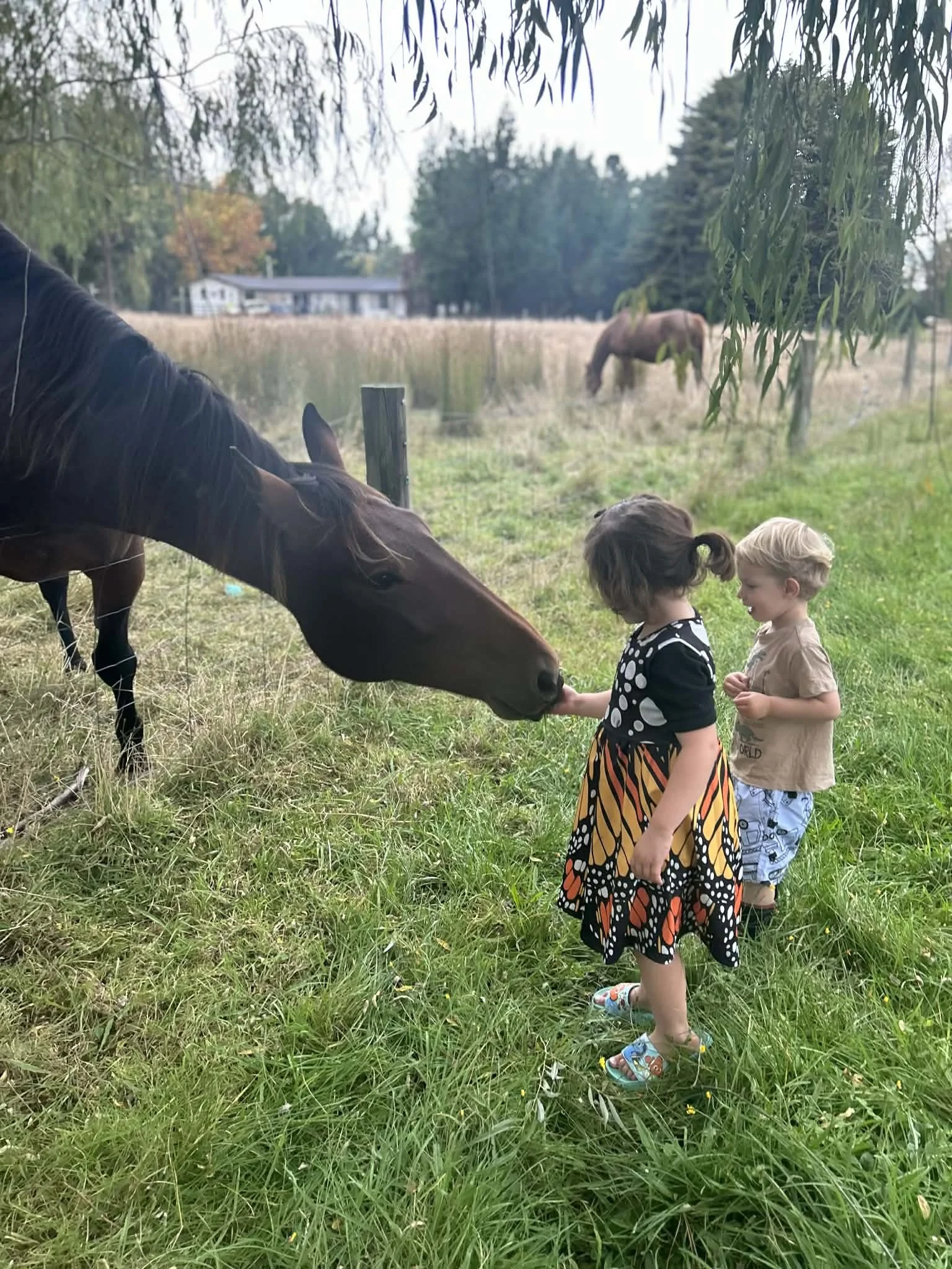Nature-based preschool activities at Country Wonders in North Canterbury