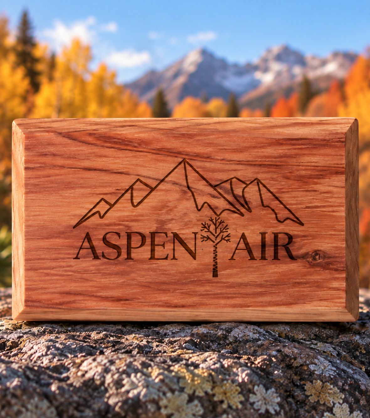 Aspen Air Car Fresheners with Visor Clip