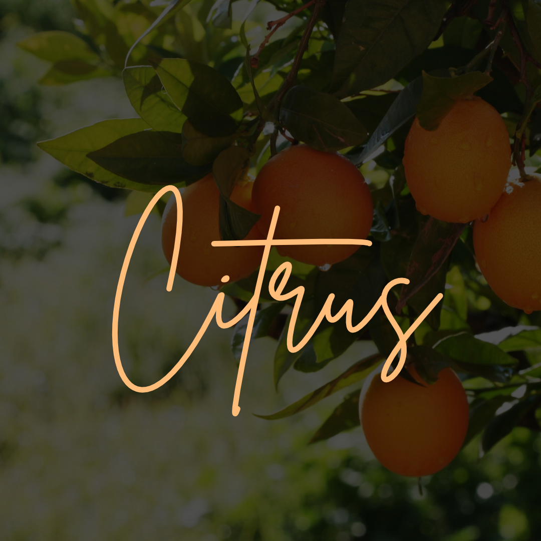 Citrus.png