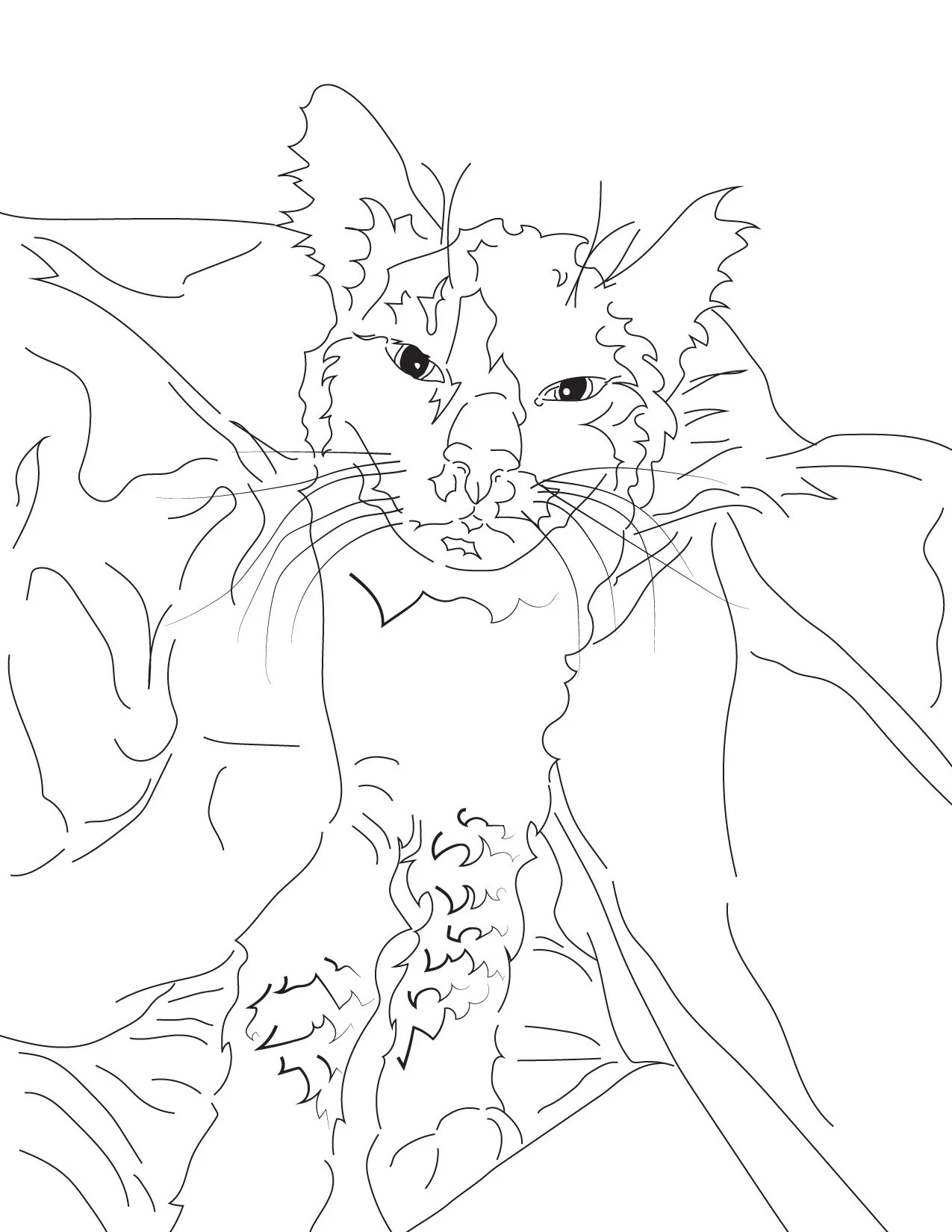 Line drawing of a fluffy cat with large ears and long whiskers, sitting on a soft surface.