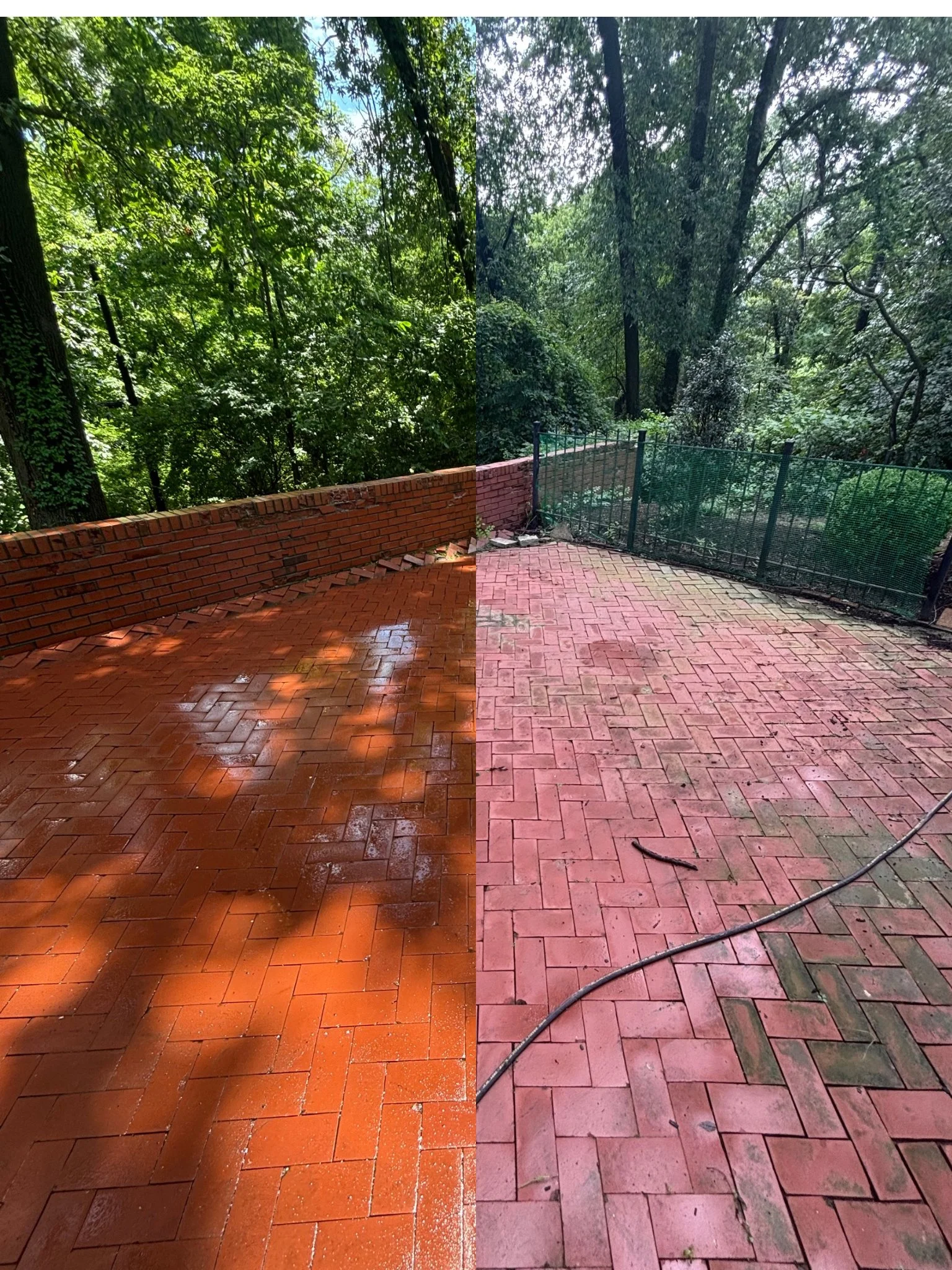 A split view of a brick patio surrounded by trees. The left side shows a recently cleaned, wet brick patio with a red-orange color, while the right side shows the same patio before cleaning, with a dull, pinkish color and some dirt and moss. A brick wall and a black metal fence surround the patio, with lush green forest in the background.