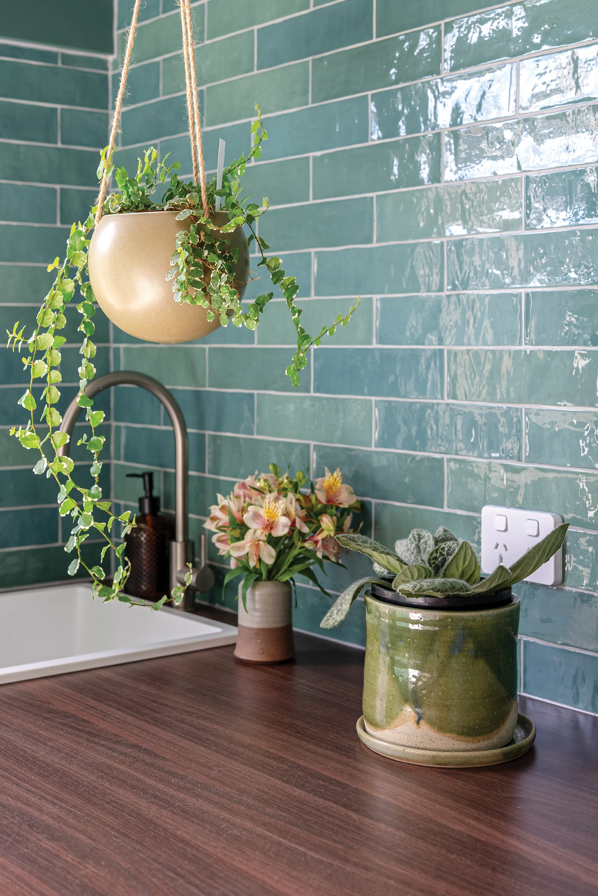 Hanging potted plant with small green leaves, two table potted plants with pink and white flowers and large green leaves, green ceramic pot, and a kitchen sink faucet with a green tiled wall in the background.