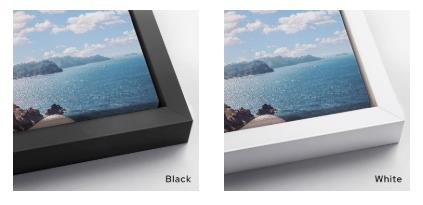 Frame opt-b_w.jpg