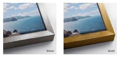 Frame opt-slv_gld.jpg