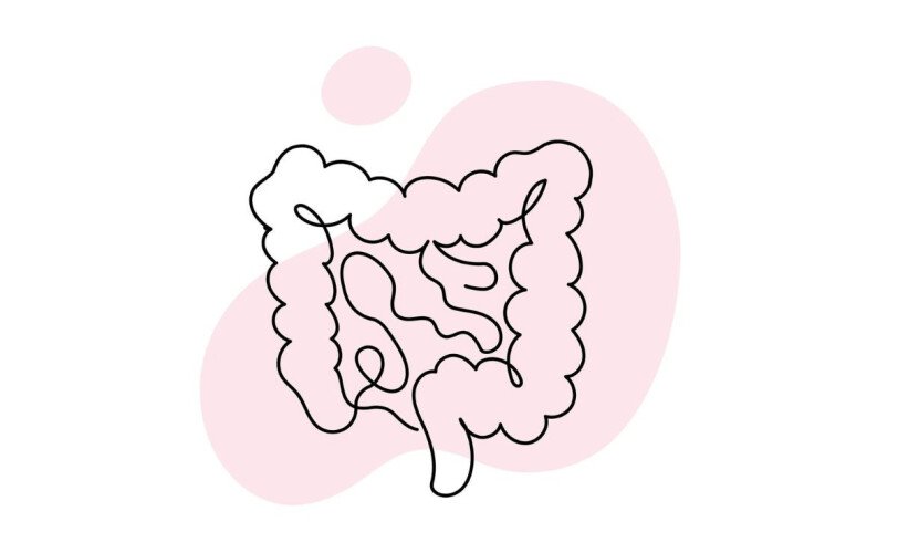 Gut Health