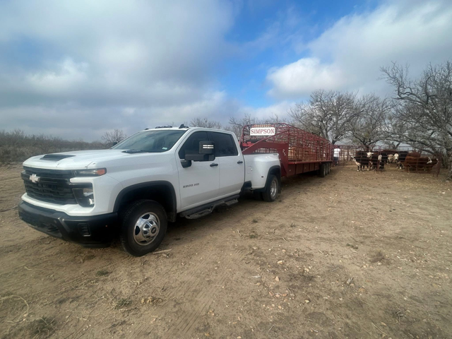 A white Chevrolet Silverado truck with a red flatbed trailer attached, parked on dirt land with cattle in the background under partly cloudy skies.