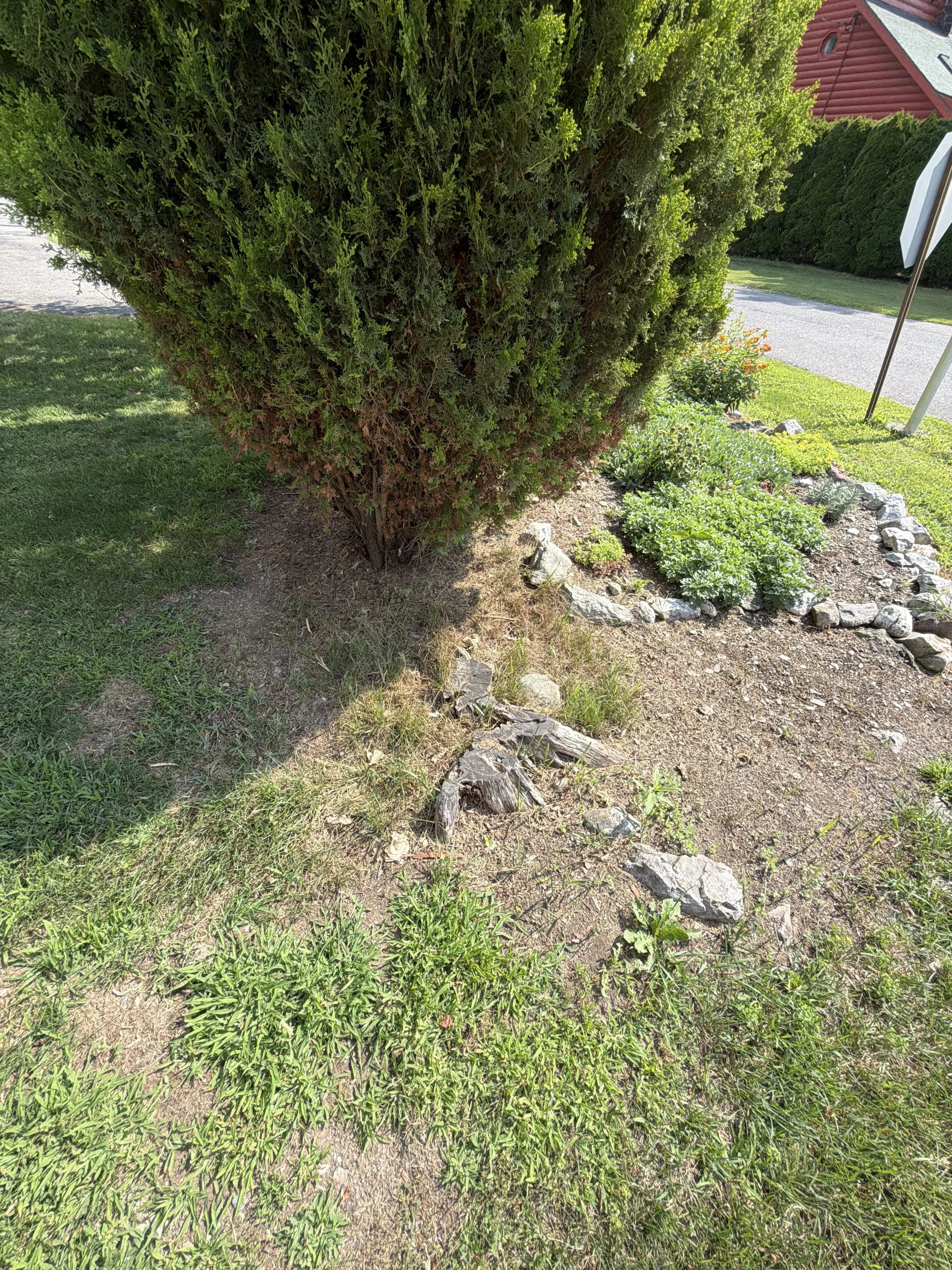 IMG_0419 (1).jpeg