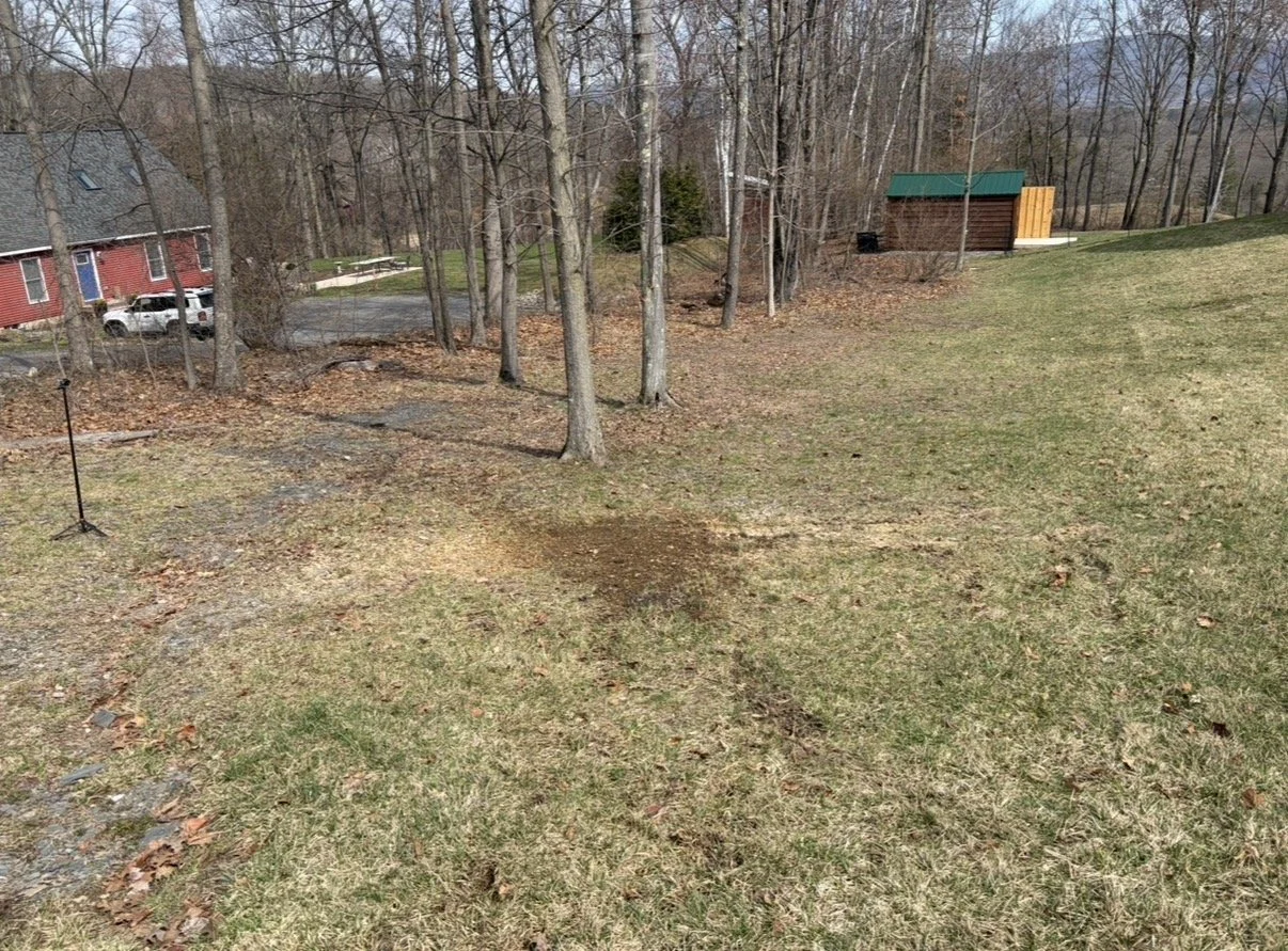 IMG_0833.jpg
