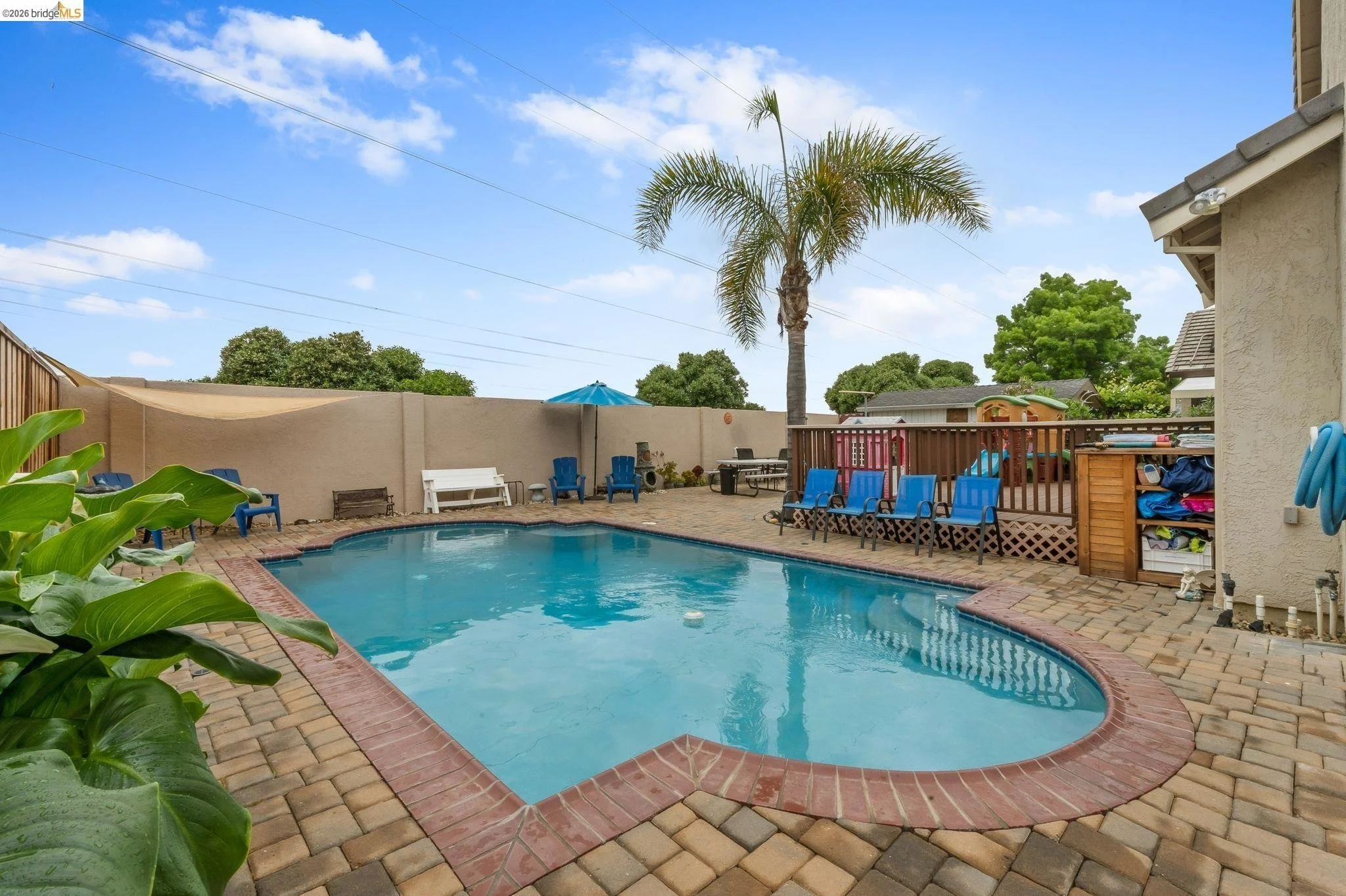 Backyard with in-ground swimming pool, patio area with blue chairs, a white bench, a large palm tree, a blue umbrella, and a fenced yard under a partly cloudy sky.