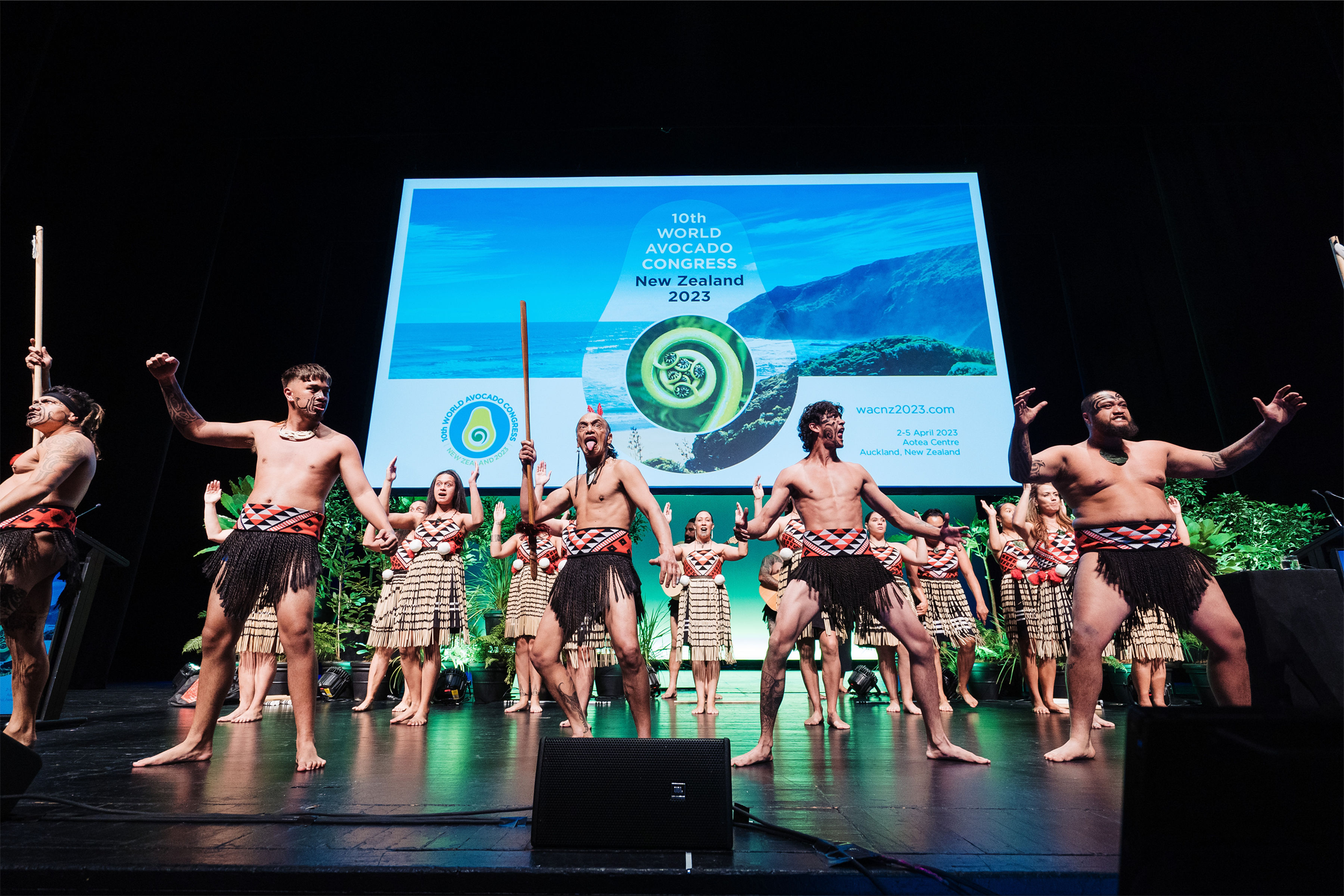 A group of performers in traditional Maori attire performing on stage at the 10th World Avocado Congress in Auckland, New Zealand, 2023, with a scenic backdrop of mountains and ocean on a large screen.