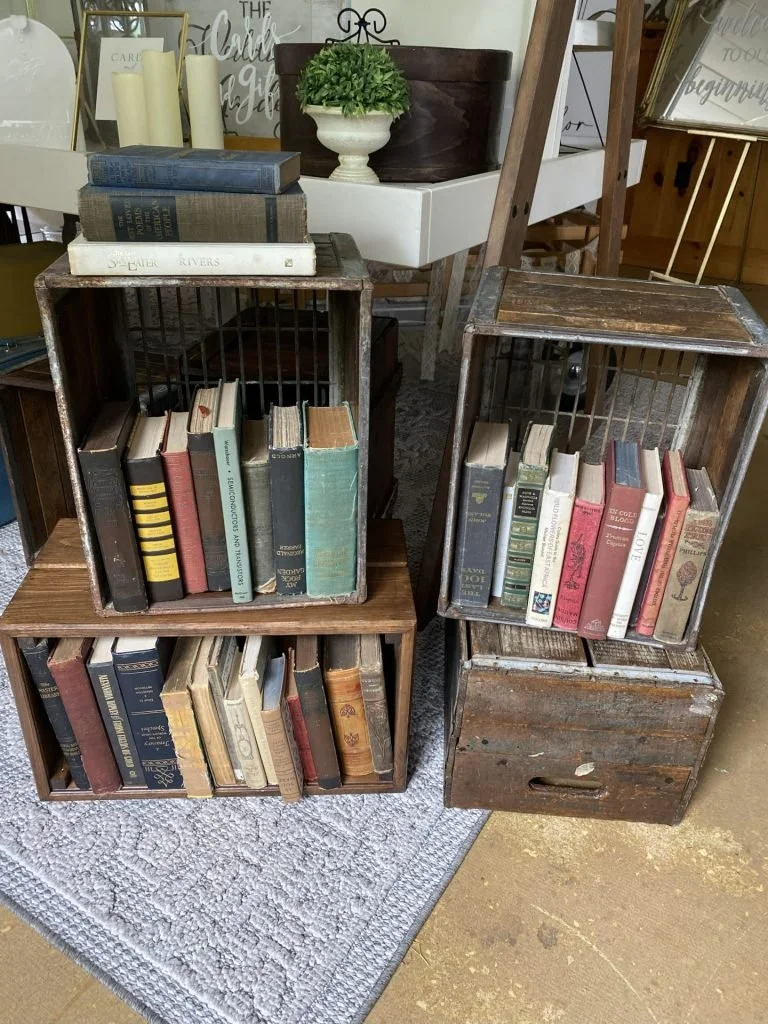 Antique Books Set