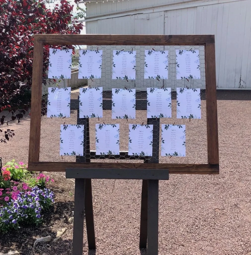 Large Frame w/ Chicken Wire