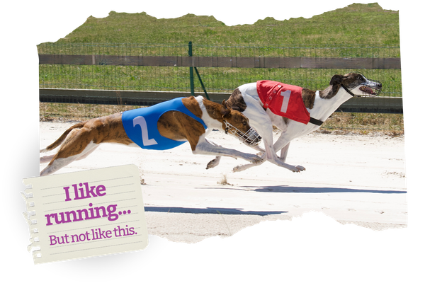 The truth behind the track: Running is natural. Racing isn’t.