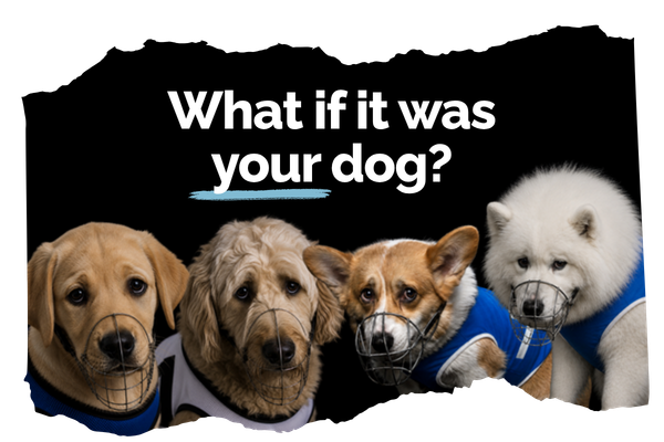 We've become desensitised to the suffering of greyhounds.