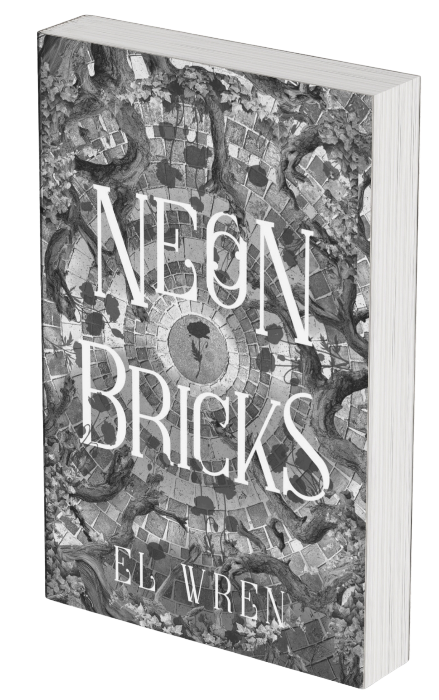 Paperback (Preorder)