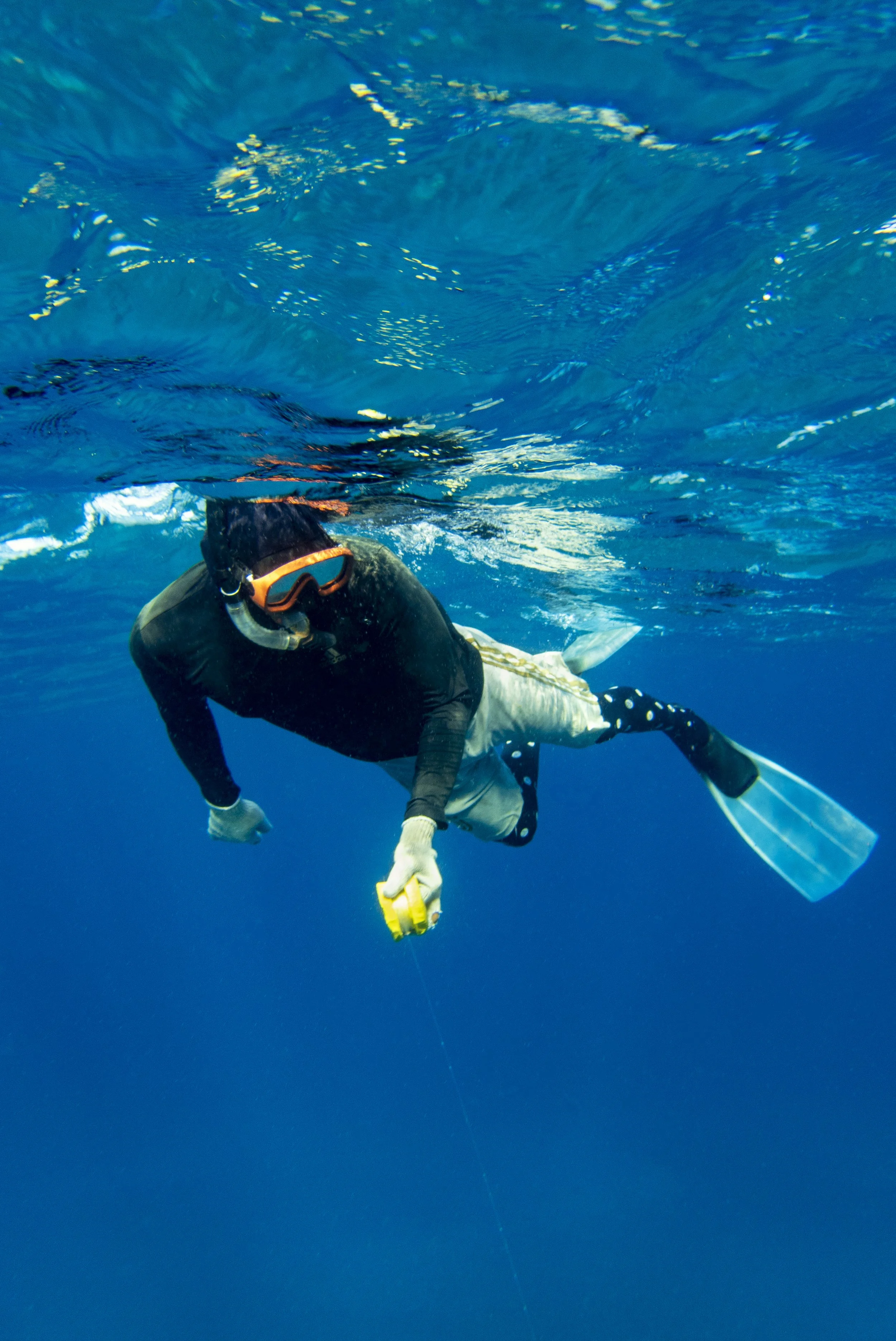 A person scuba diving underwater, wearing a black shirt, white shorts, a diving mask, and fins, holding a yellow underwater camera.
