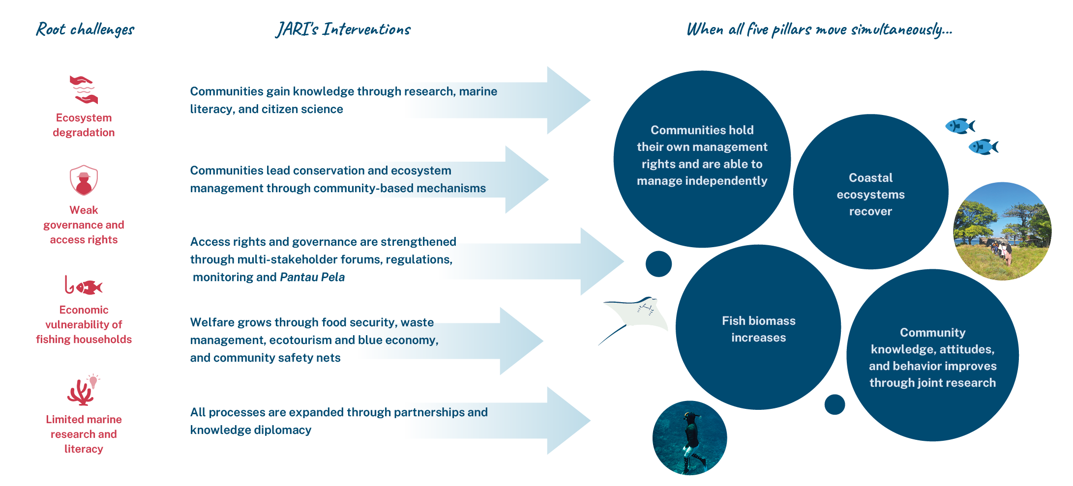 Infographic illustrating the importance of community involvement in marine conservation, highlighting key actions such as marine research, ecosystem management, and community education to restore coastal ecosystems and increase fish biomass.