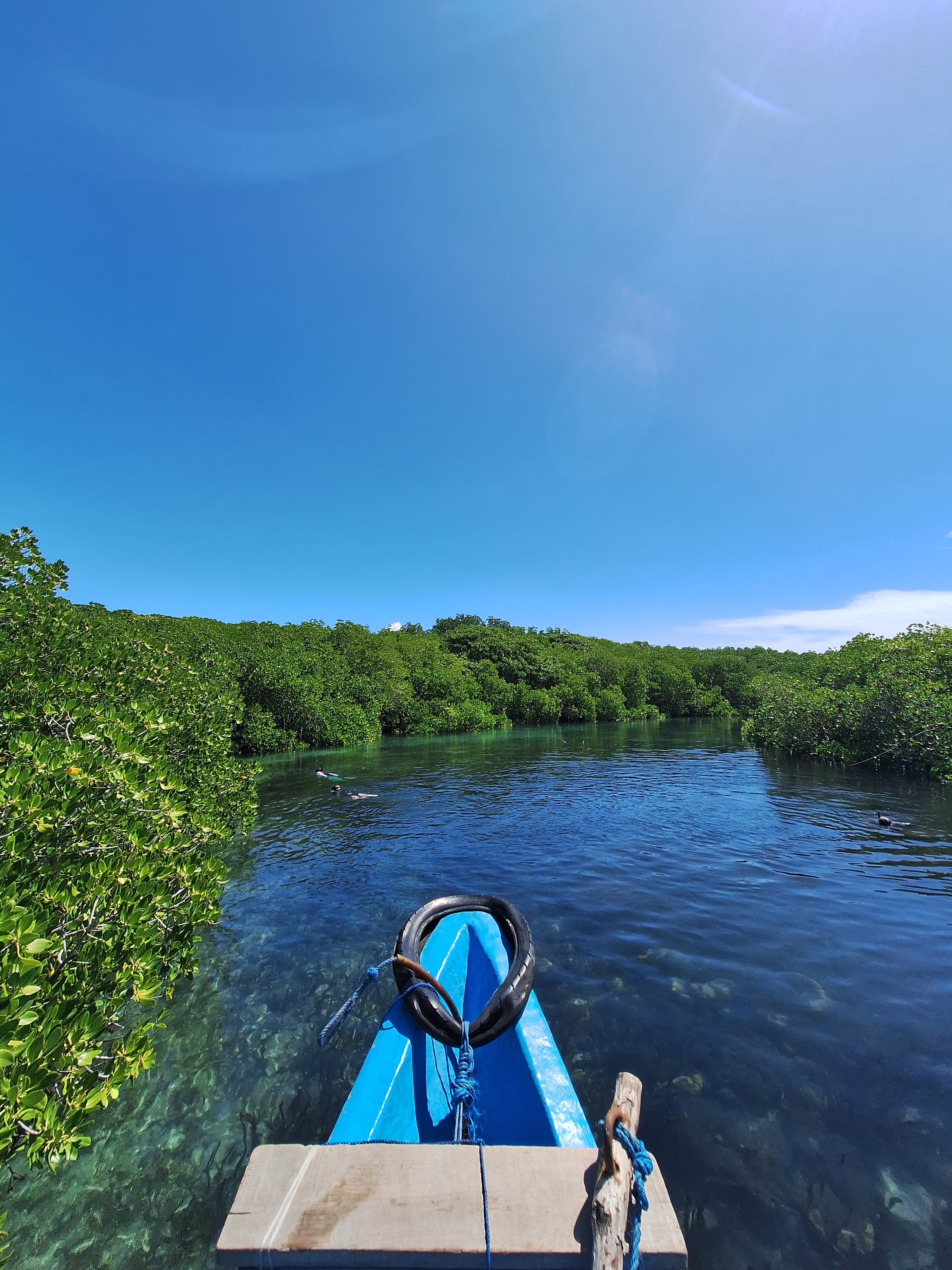 View from the front of a blue kayak as it floats on a calm river surrounded by dense green trees under a bright blue sky with some clouds.