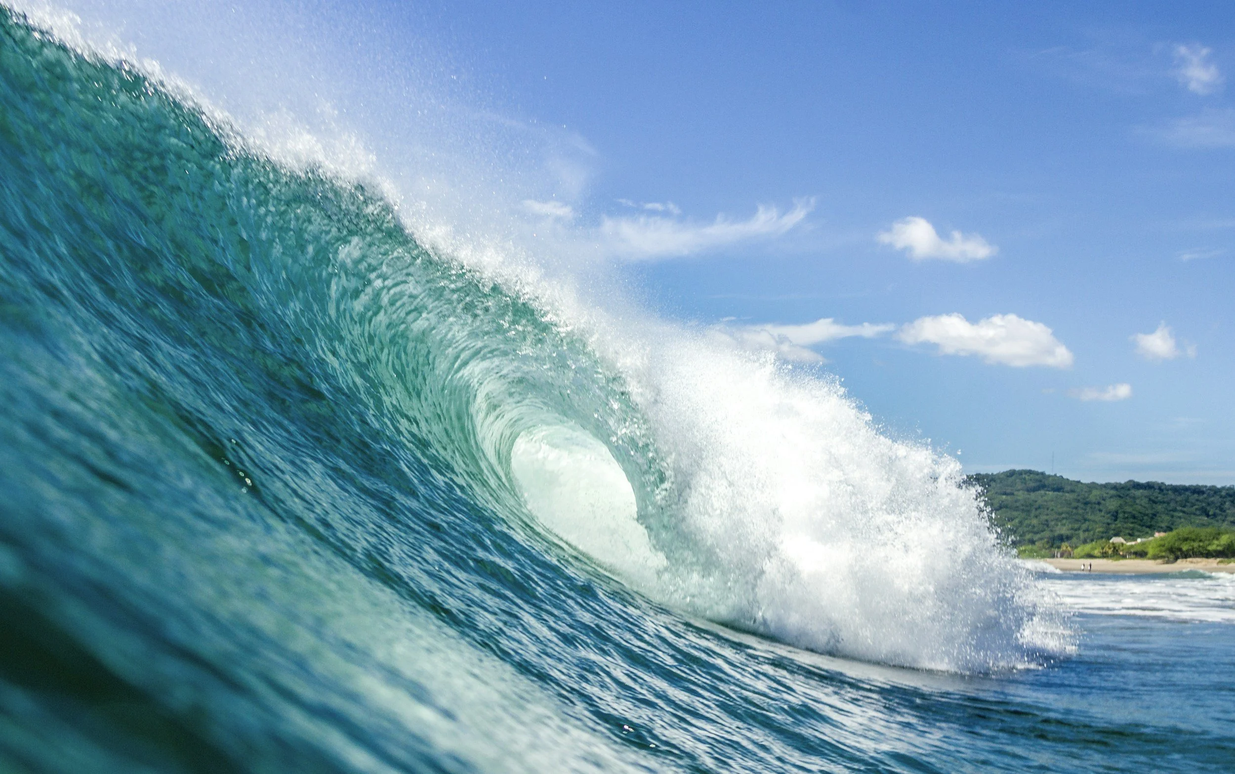 A large ocean wave curling and crashing near a shoreline with trees and a few people on the beach under a blue sky with scattered clouds.