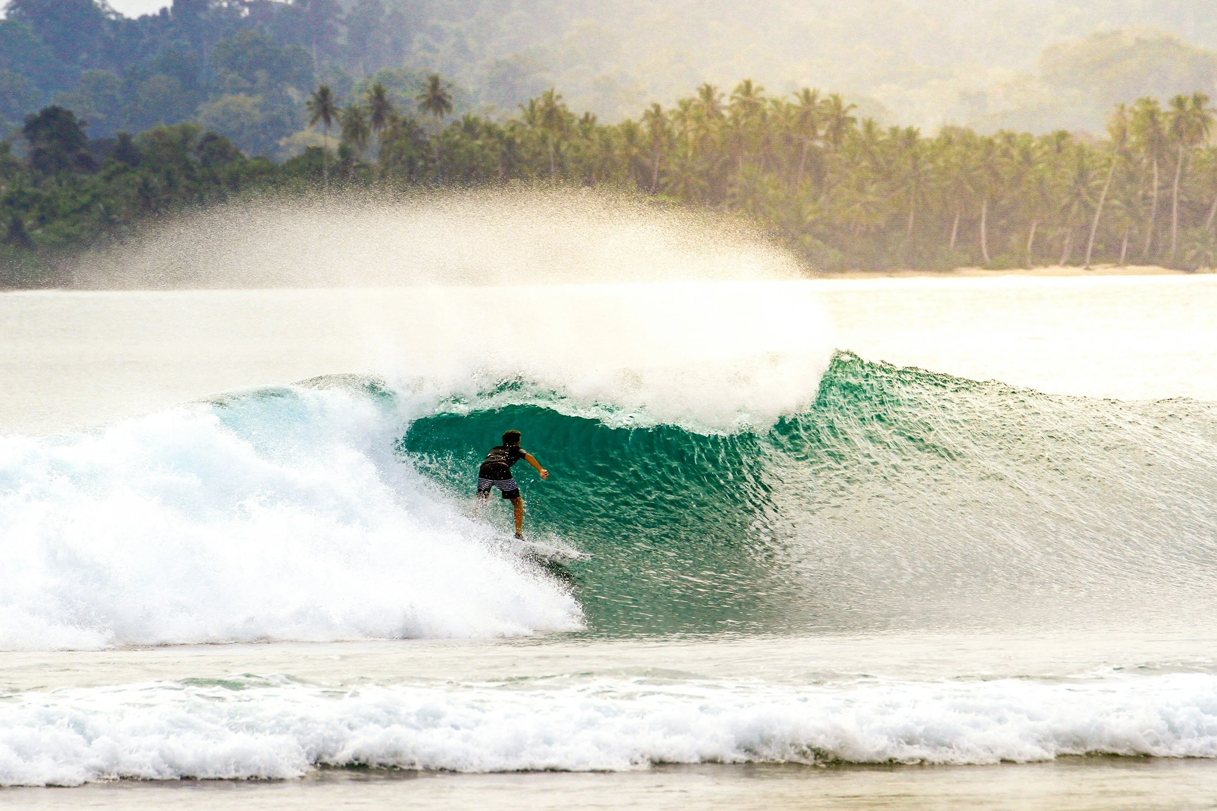 A person surfing on a wave in the ocean with a tropical forest in the background.