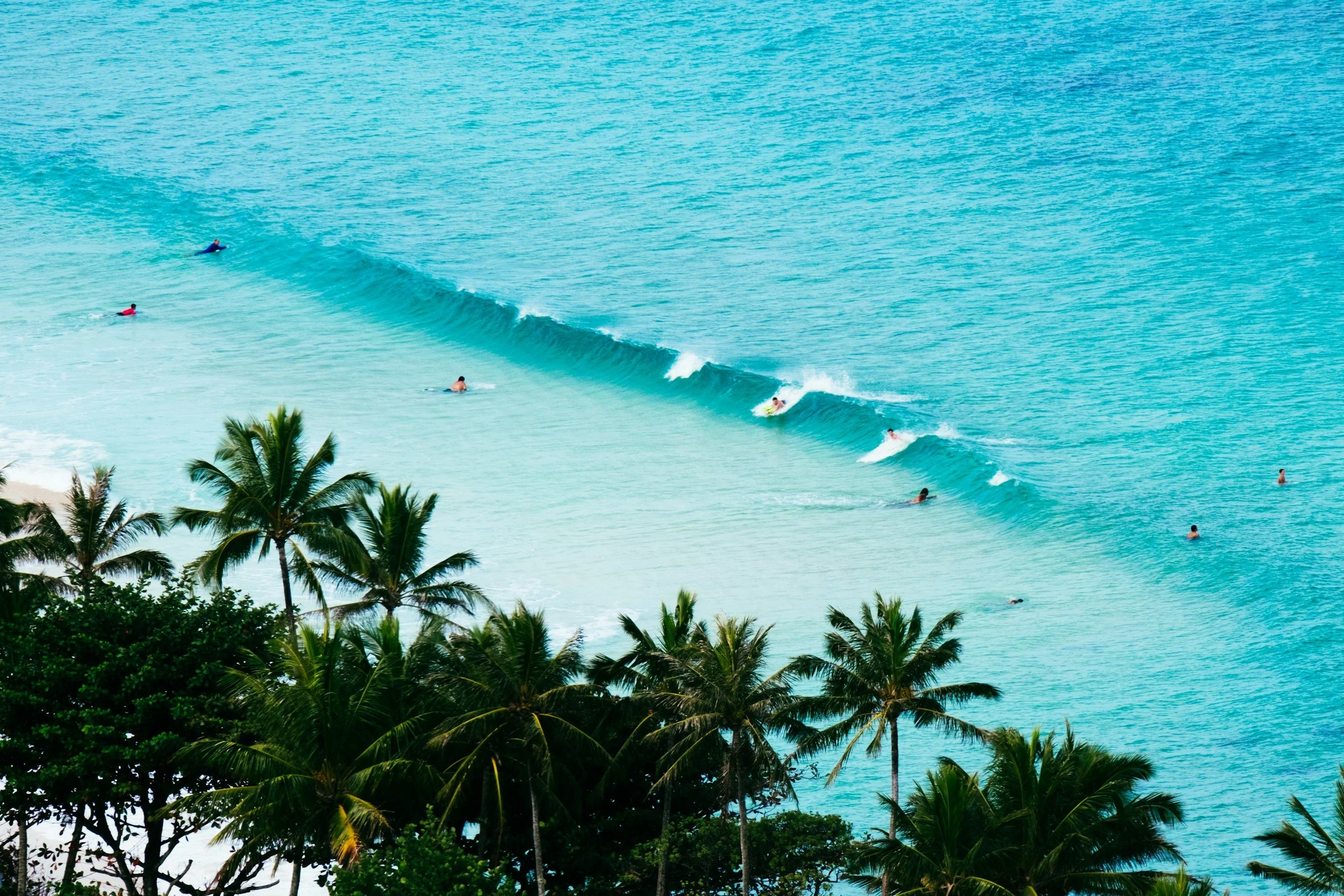 A beach scene with palm trees in the foreground and several people surfing and swimming in the ocean waves.