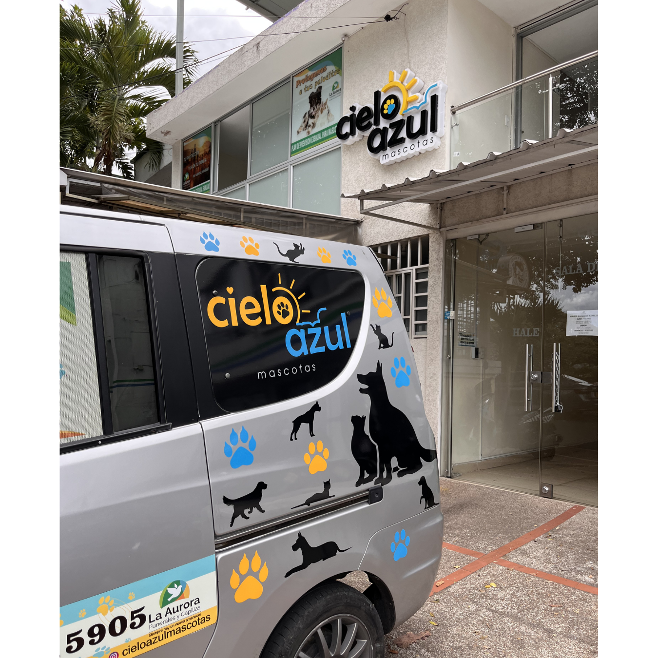 Placa, vehículo y fachada de local comerciales de la marca cielo azul mascotas, que ofrece servicios relacionados con mascotas. La imagen muestra un coche gris con gráficos de perros y gatos en colores azul y amarillo, y un letrero en el edificio con el mismo logo de cielo azul mascotas.
