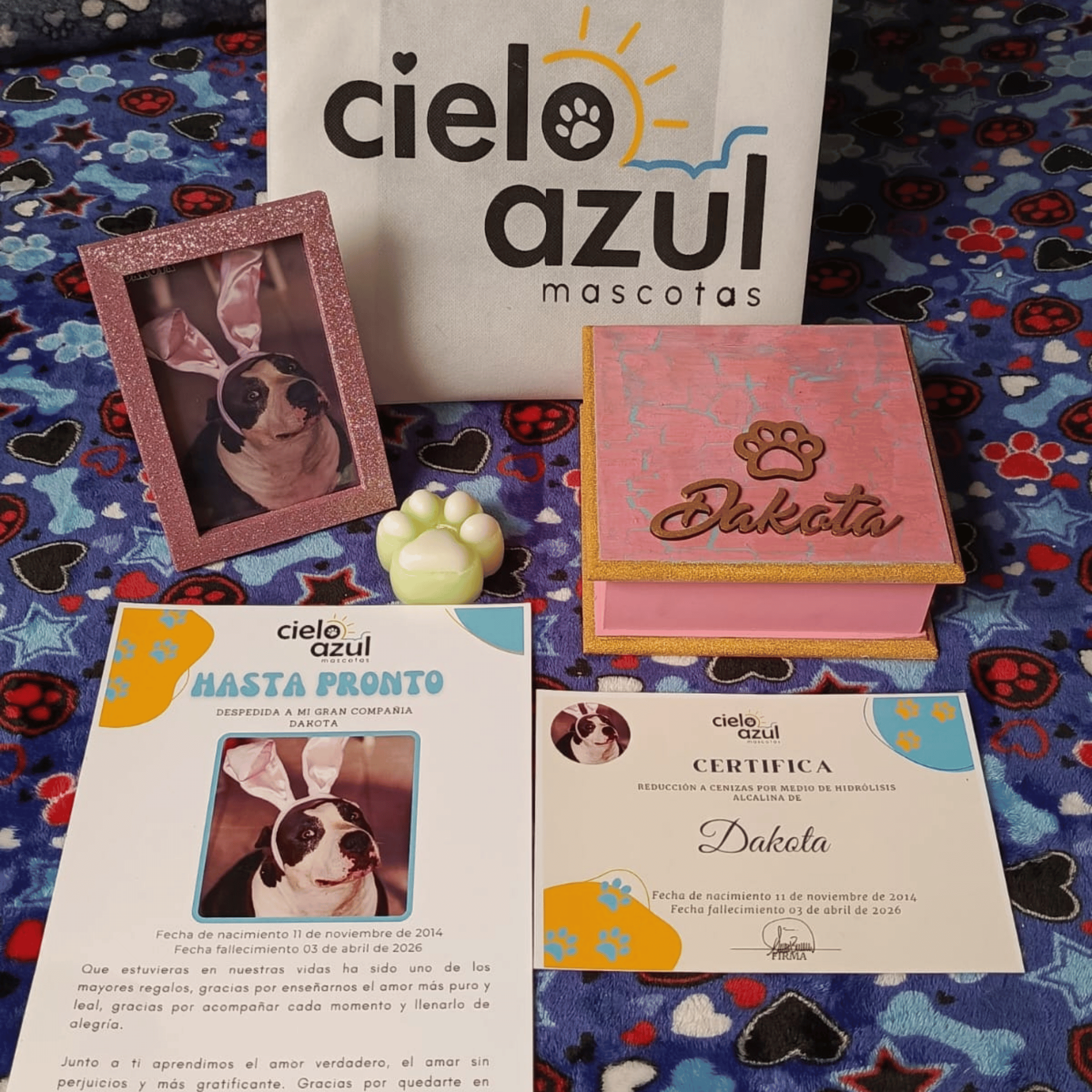 Imagen con objetos conmemorativos por una mascota llamada Dakota, incluyendo un marco con una foto de la perra en un disfraz de conejo, un certificado de despedida, una caja rosa con el nombre Dakota y un adorno de almohadilla con forma de pata.