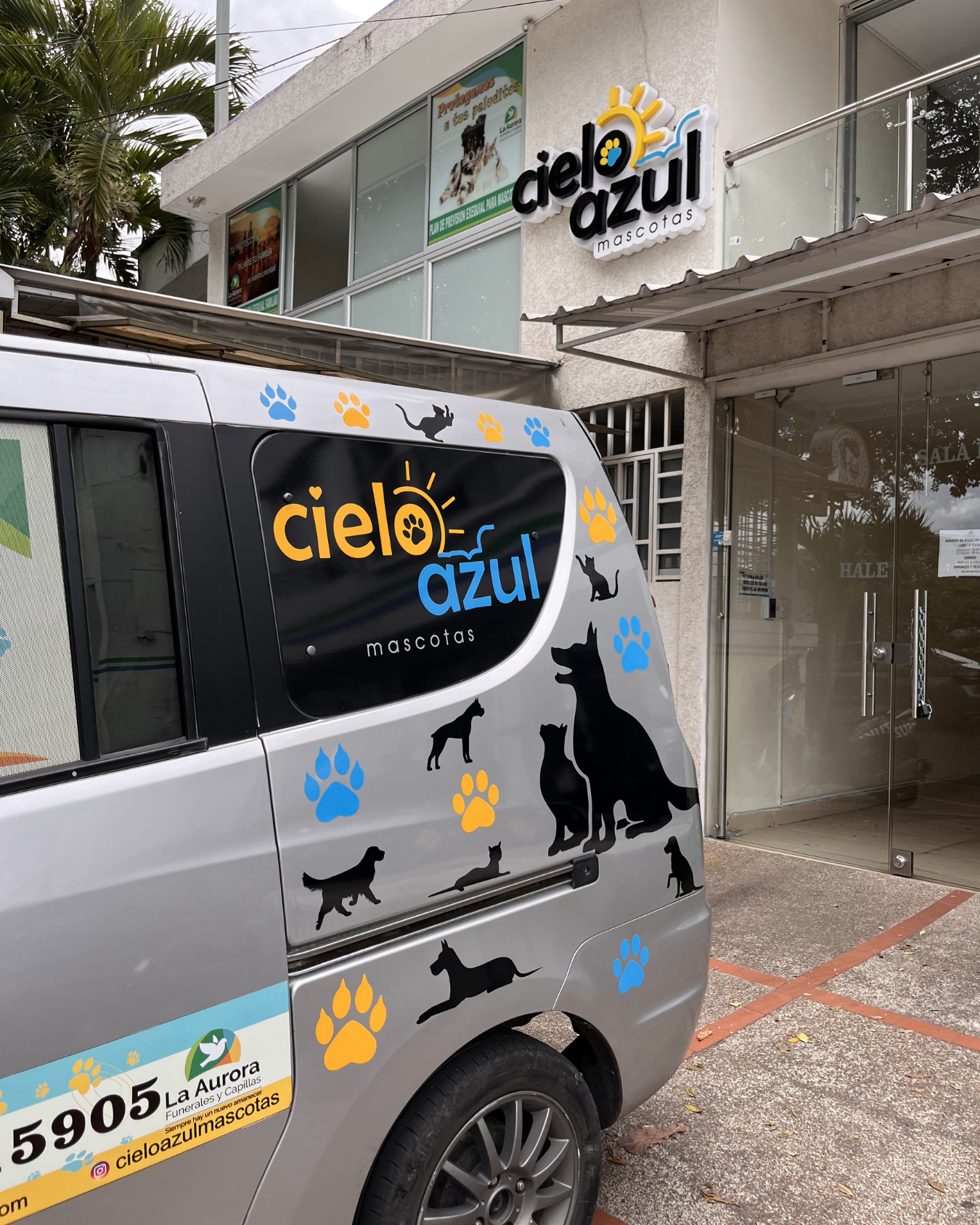Vehículo gris con adornos de huellas de diferentes animales y siluetas de perros y gatos, estacionado frente a un establecimiento llamado 'Cielo Azul Mascotas'.