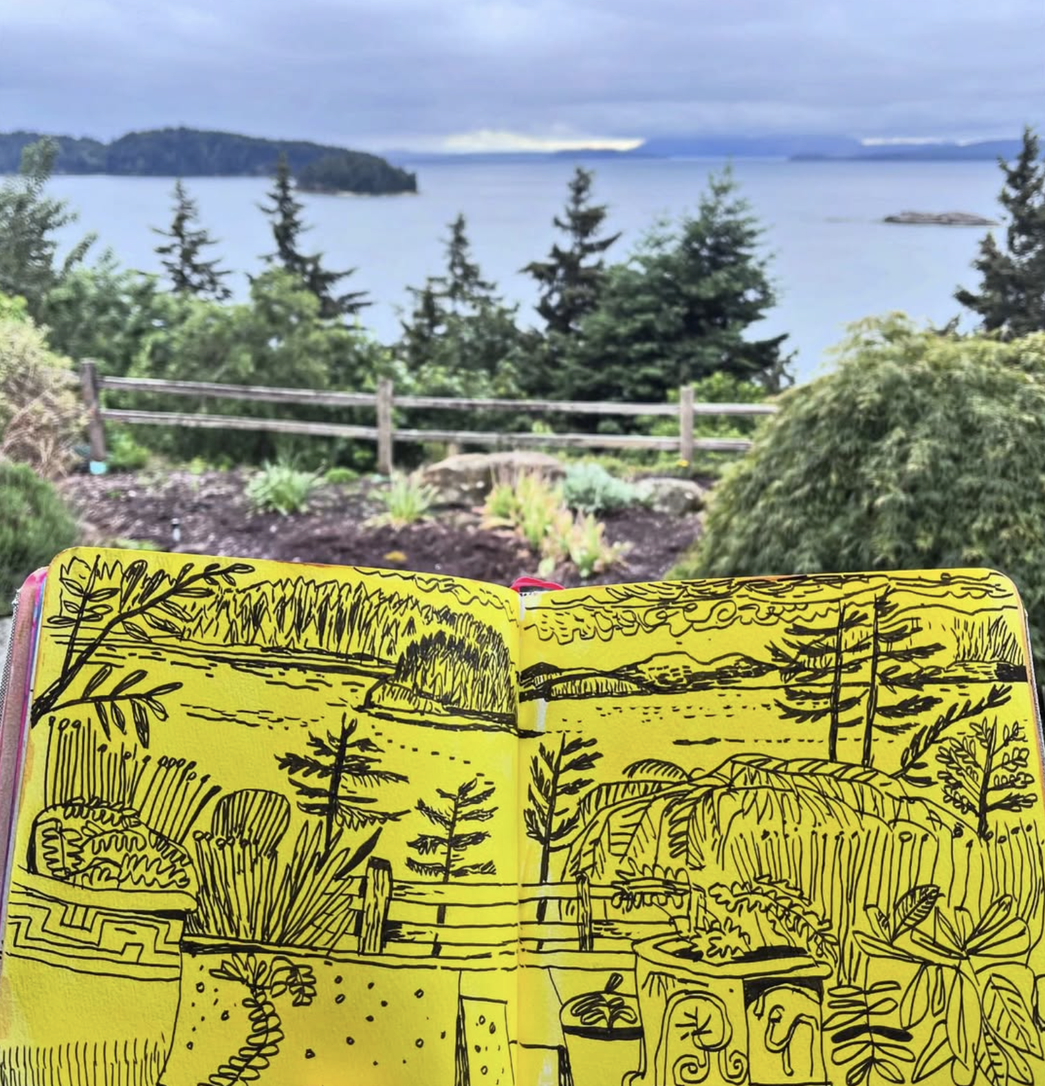 LiveSketching-Solevad.png