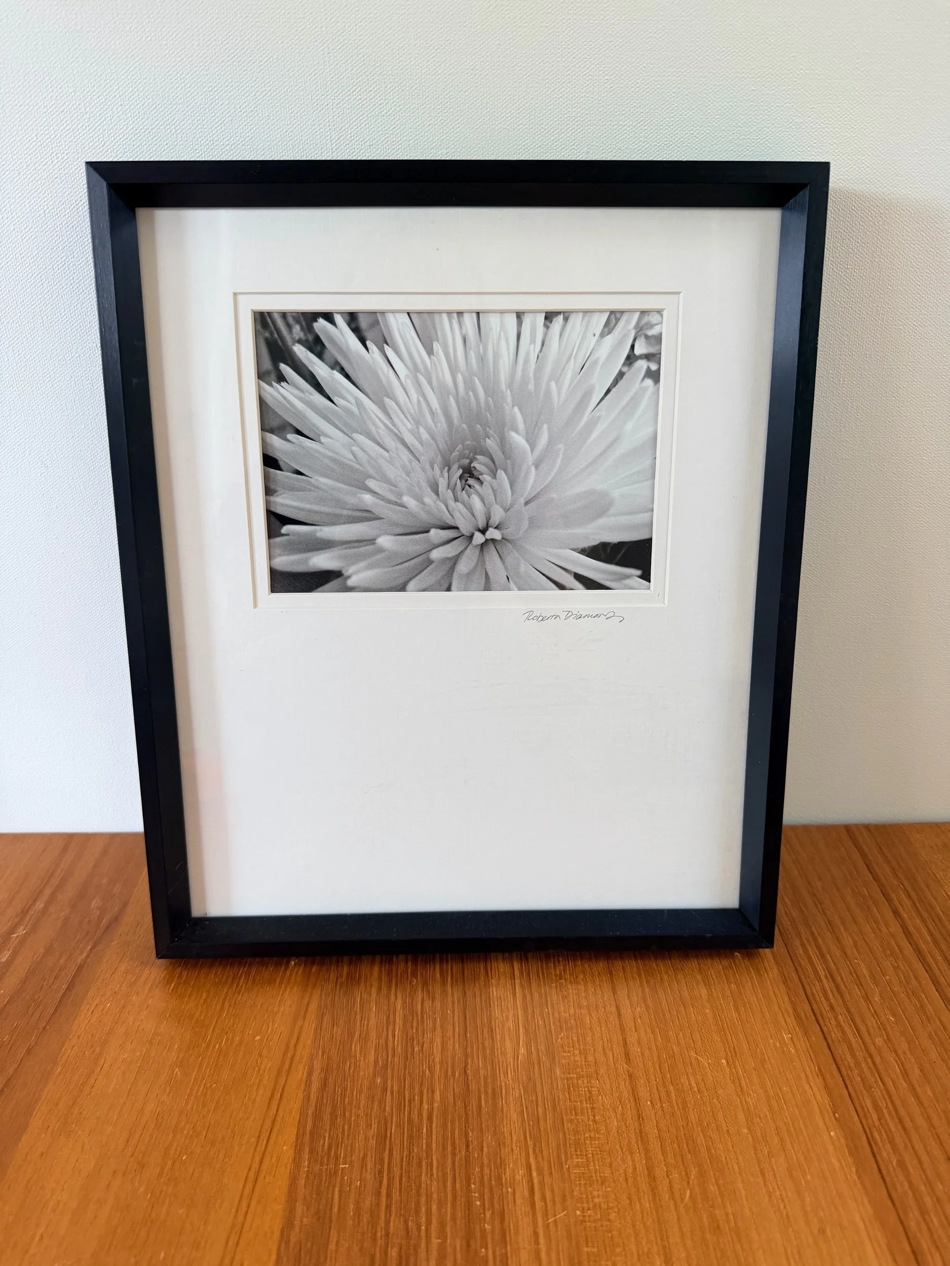 black framed flower photograph