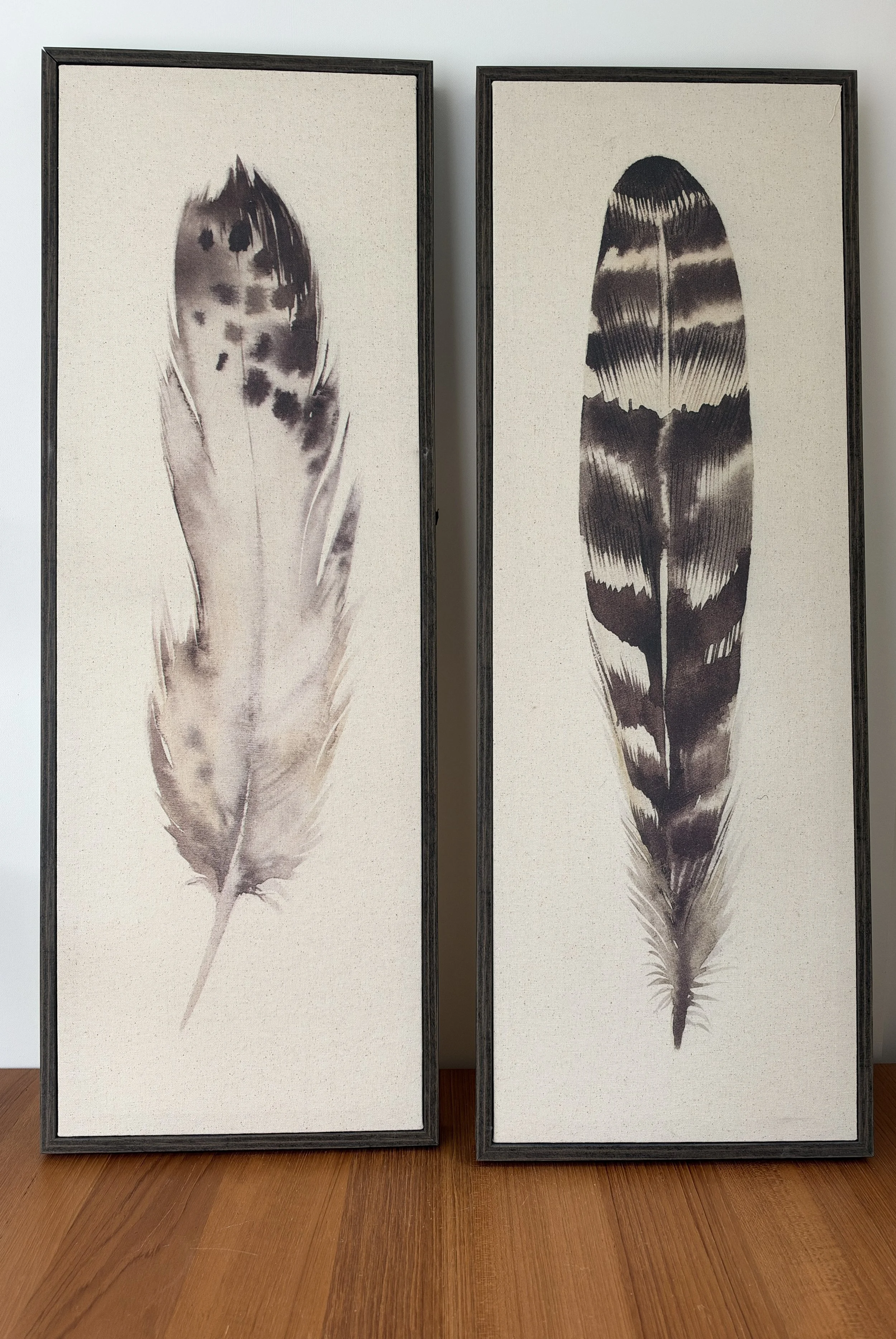 pair of feather prints on canvas