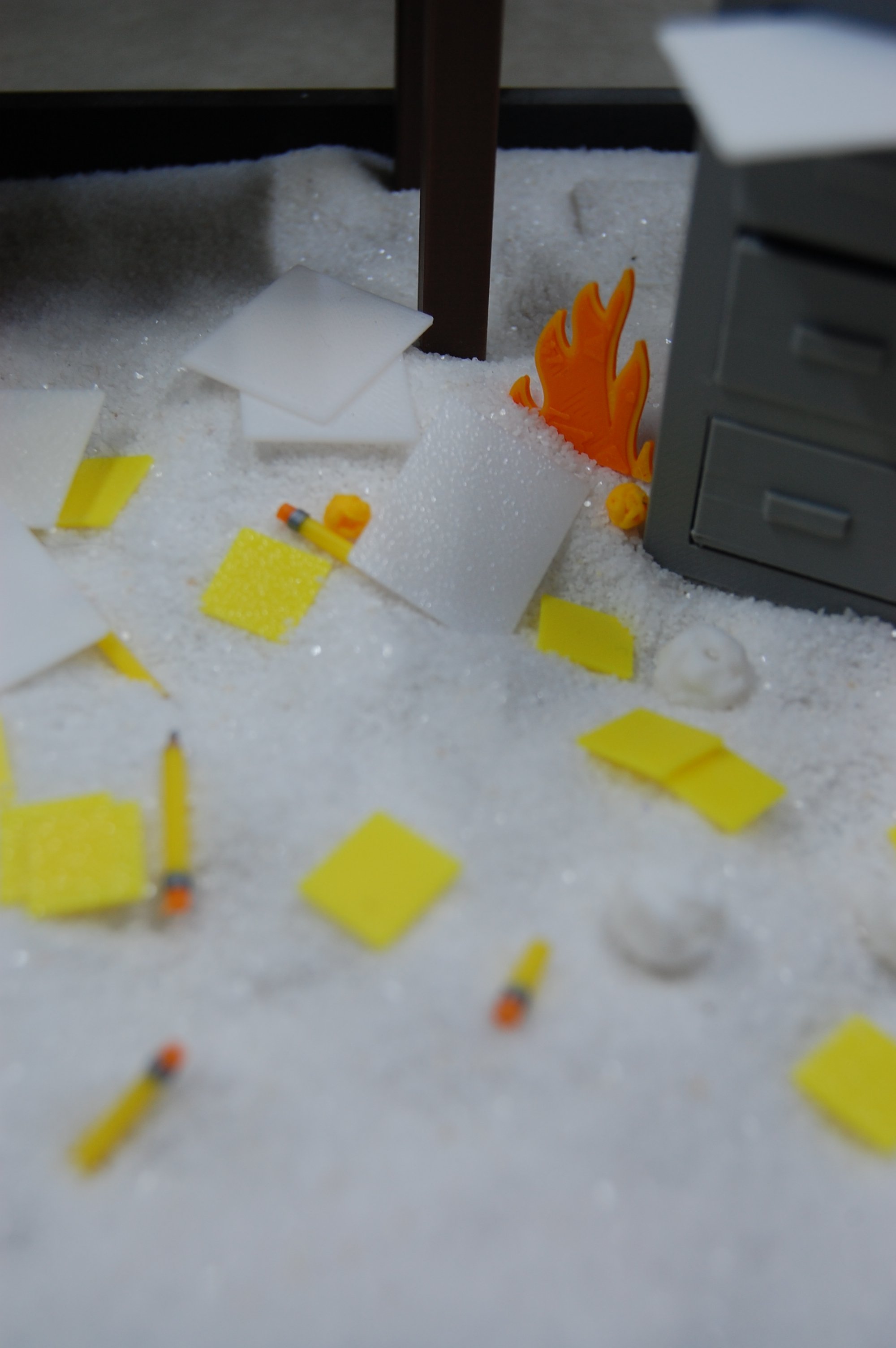 DSC_0198.JPG
