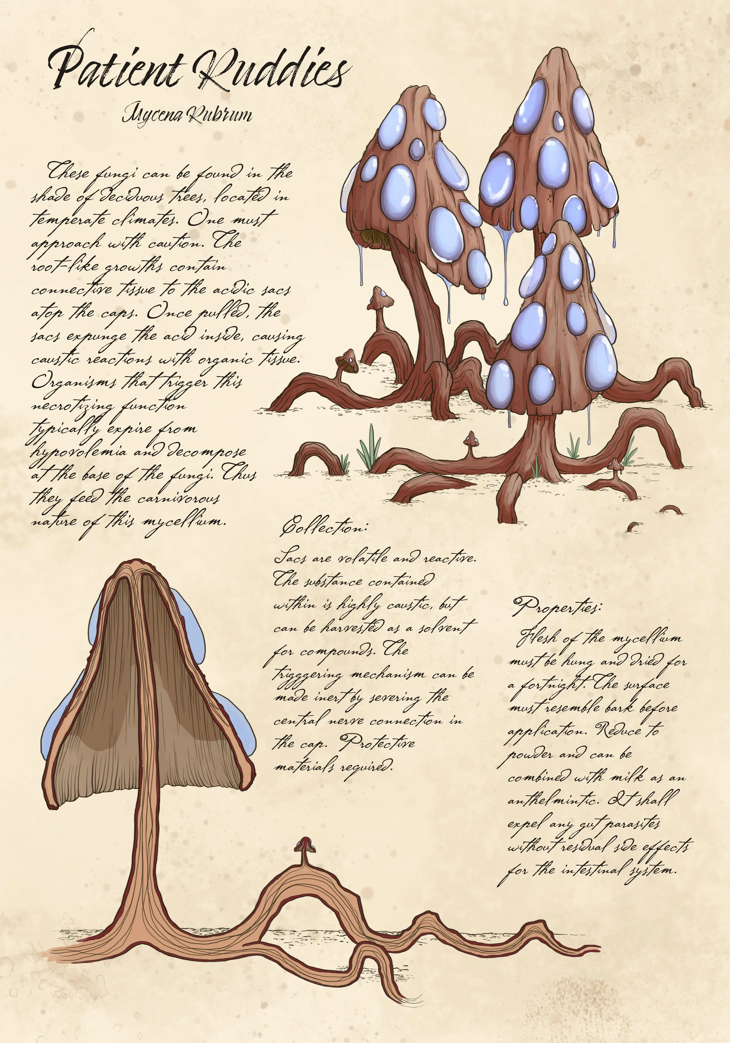 Plant Journal page - 01 Final.jpg